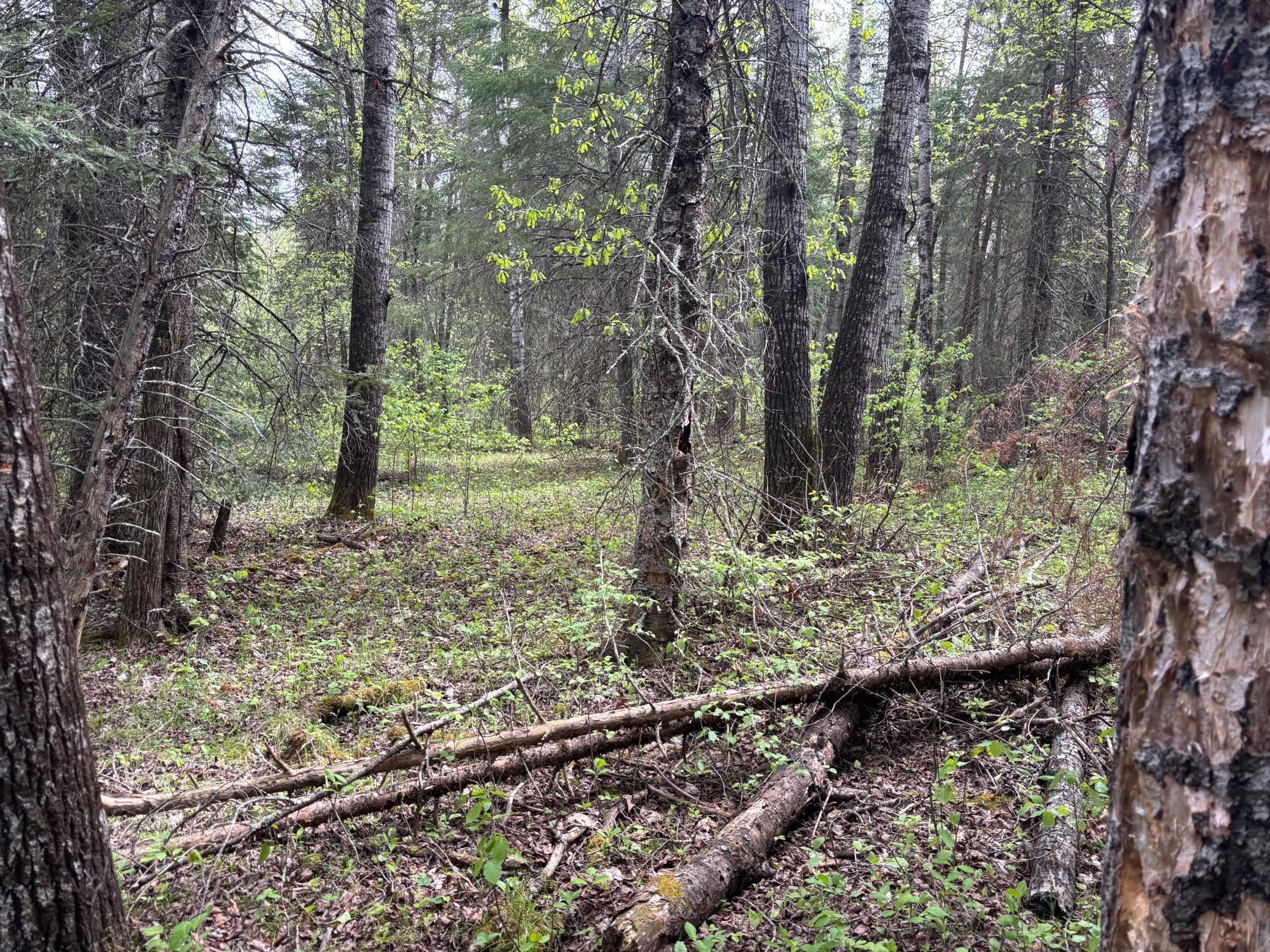 32241 State Highway 1