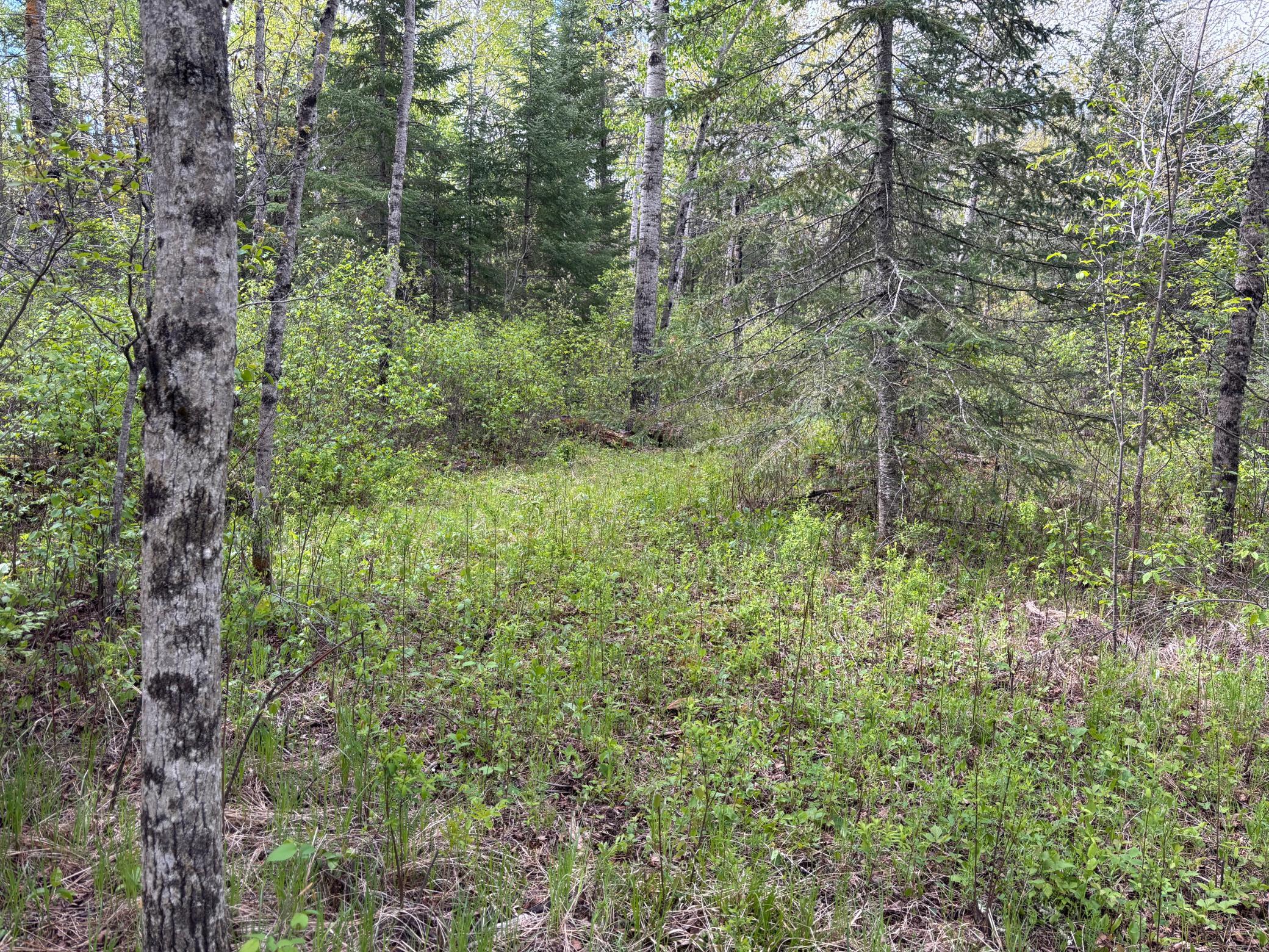 32241 State Highway 1