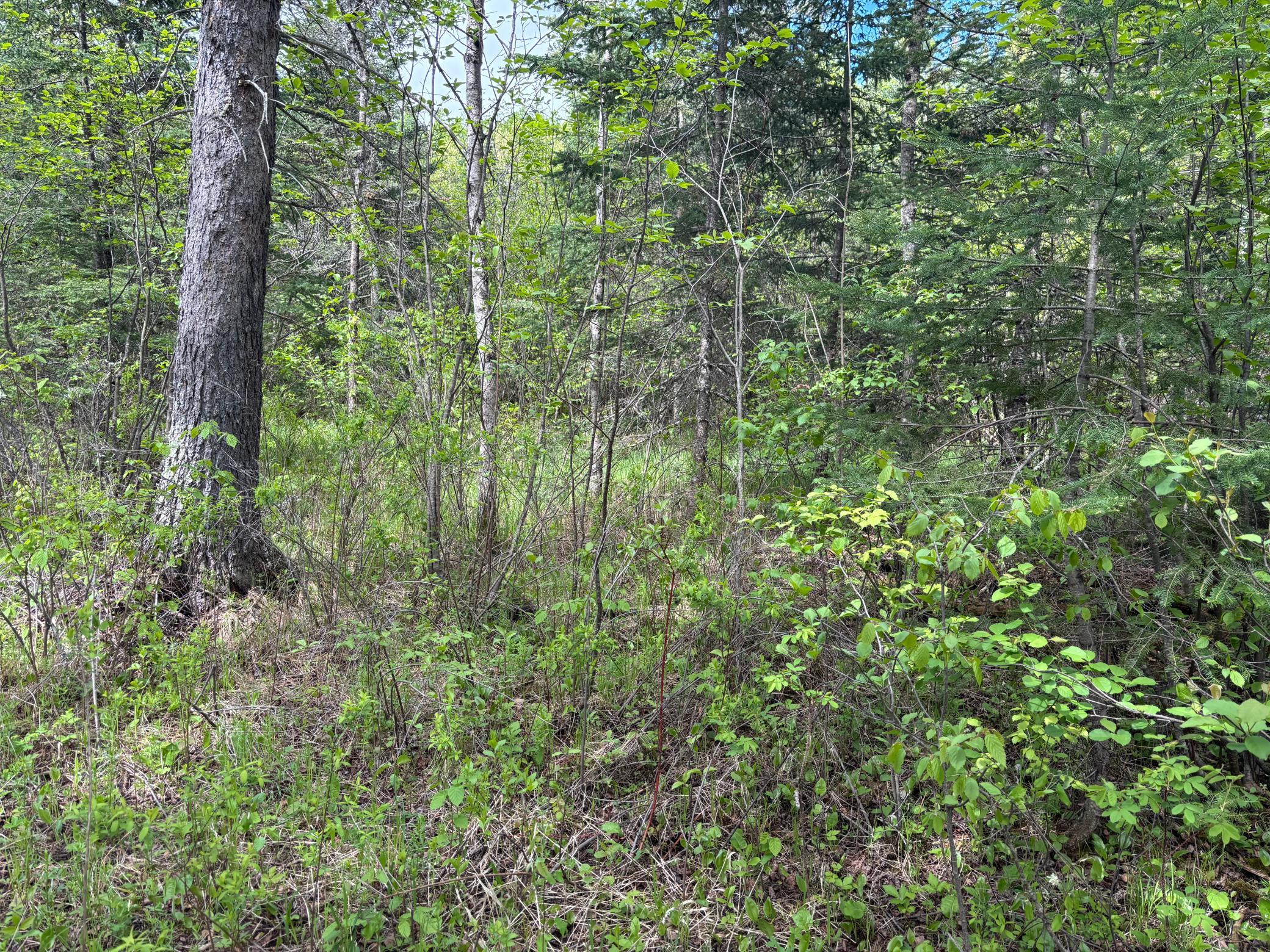 32241 State Highway 1