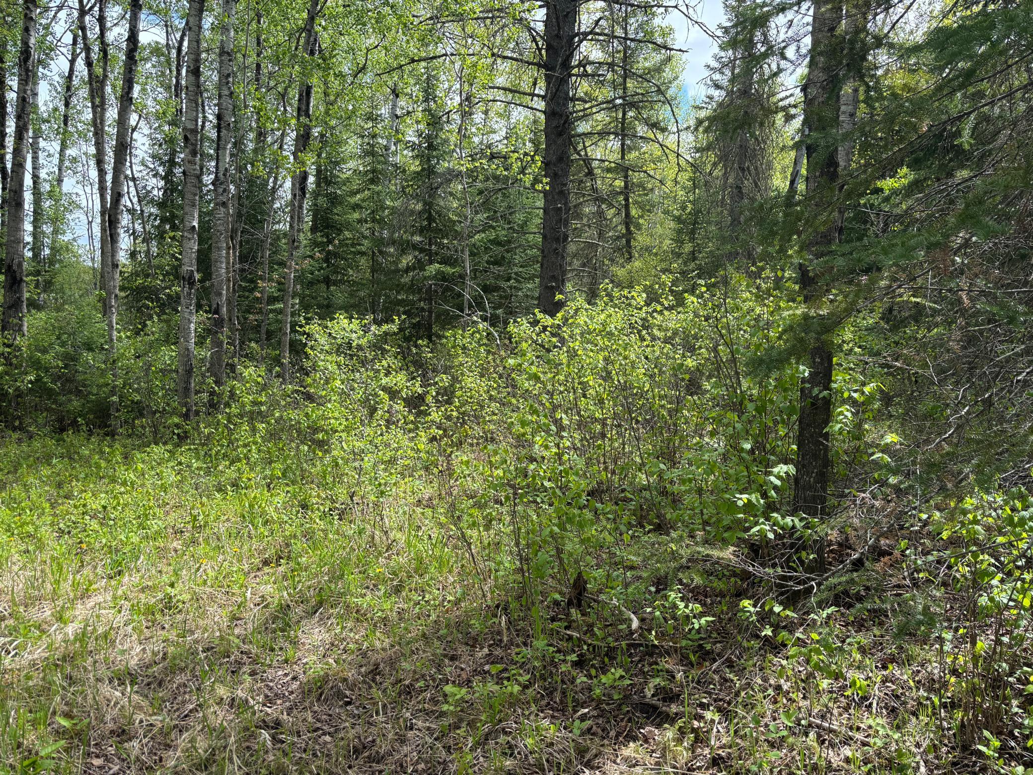 32241 State Highway 1