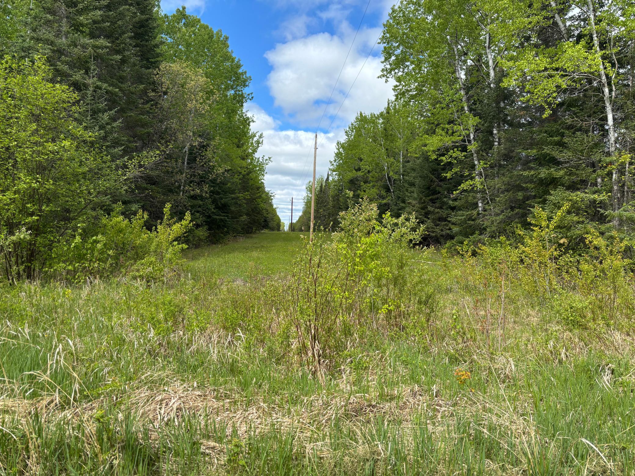 32241 State Highway 1