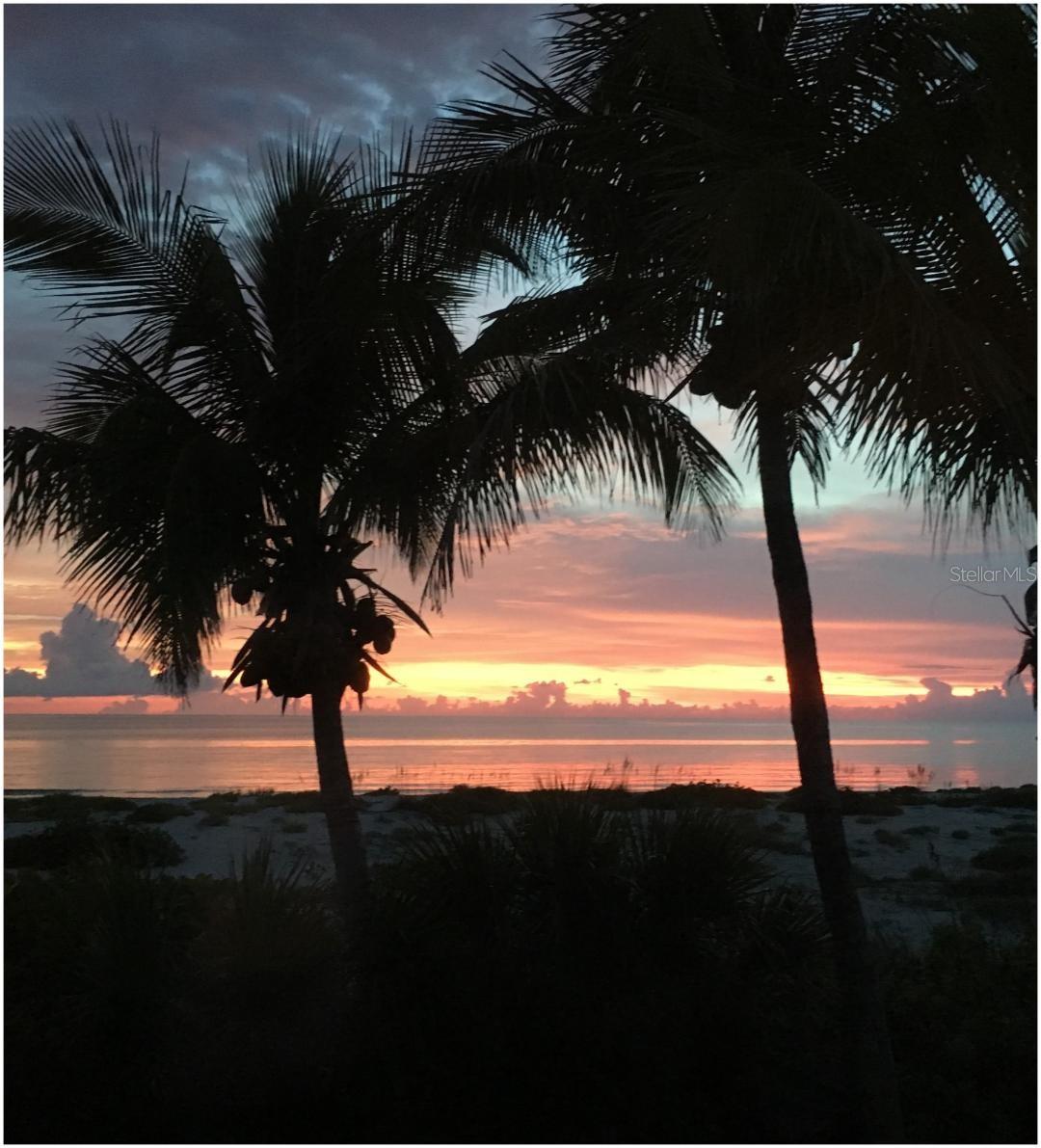 290 GULF BLVD #21