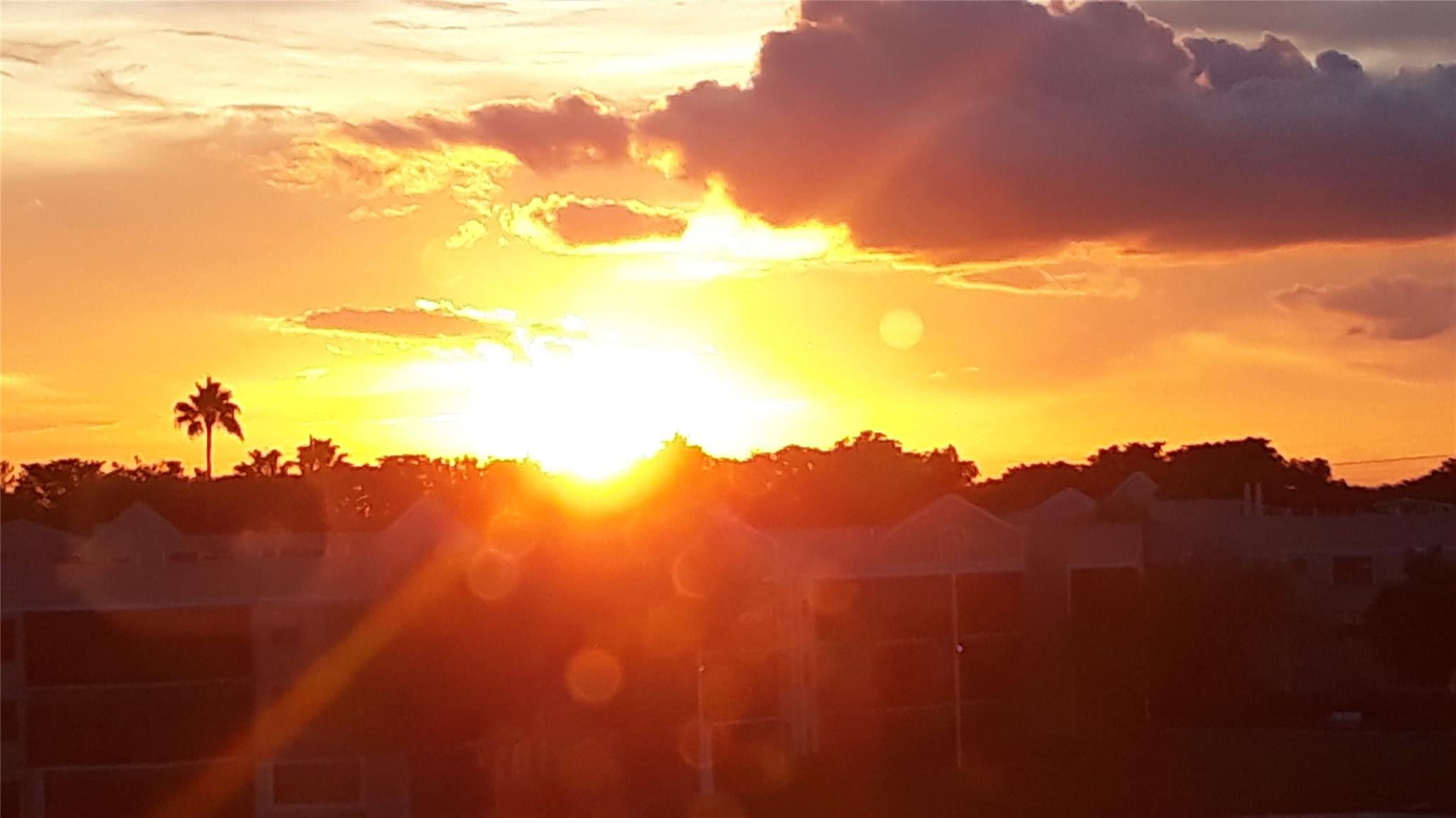 7647 Southampton Ter 407