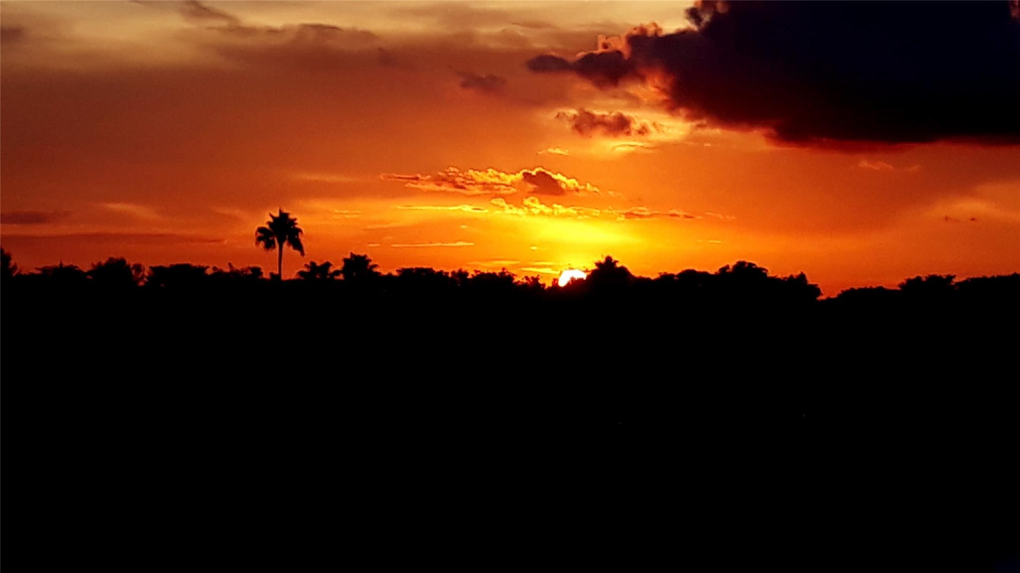 7647 Southampton Ter 407