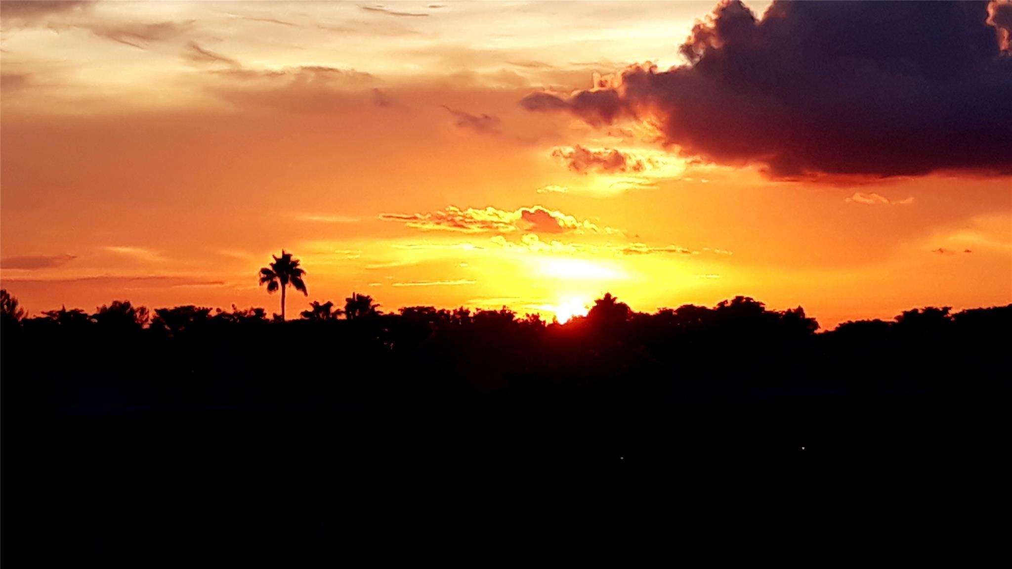 7647 Southampton Ter 407