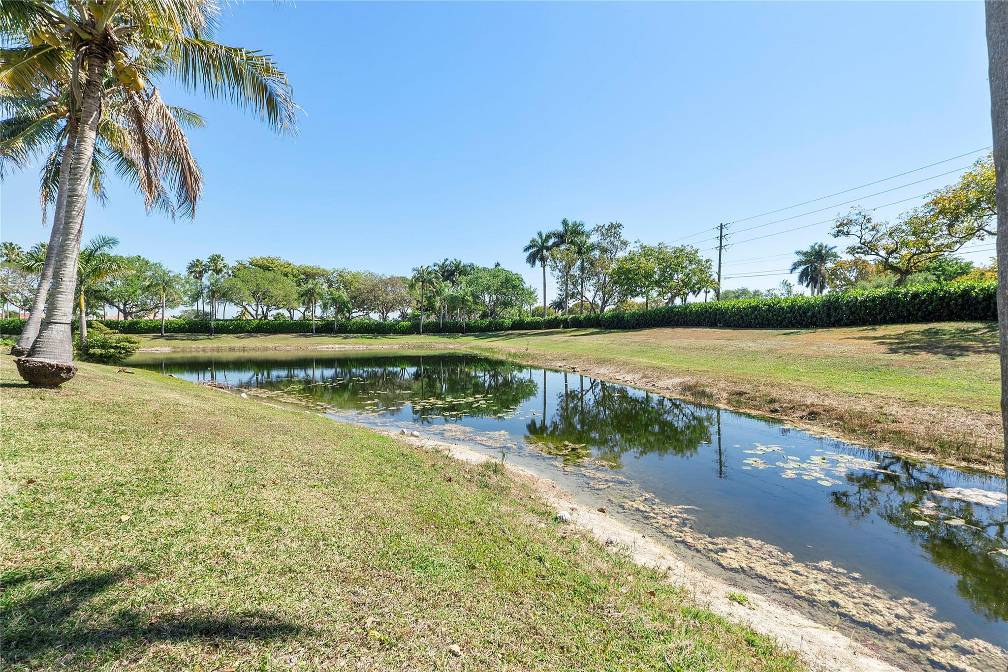 11836 Sunchase Ct