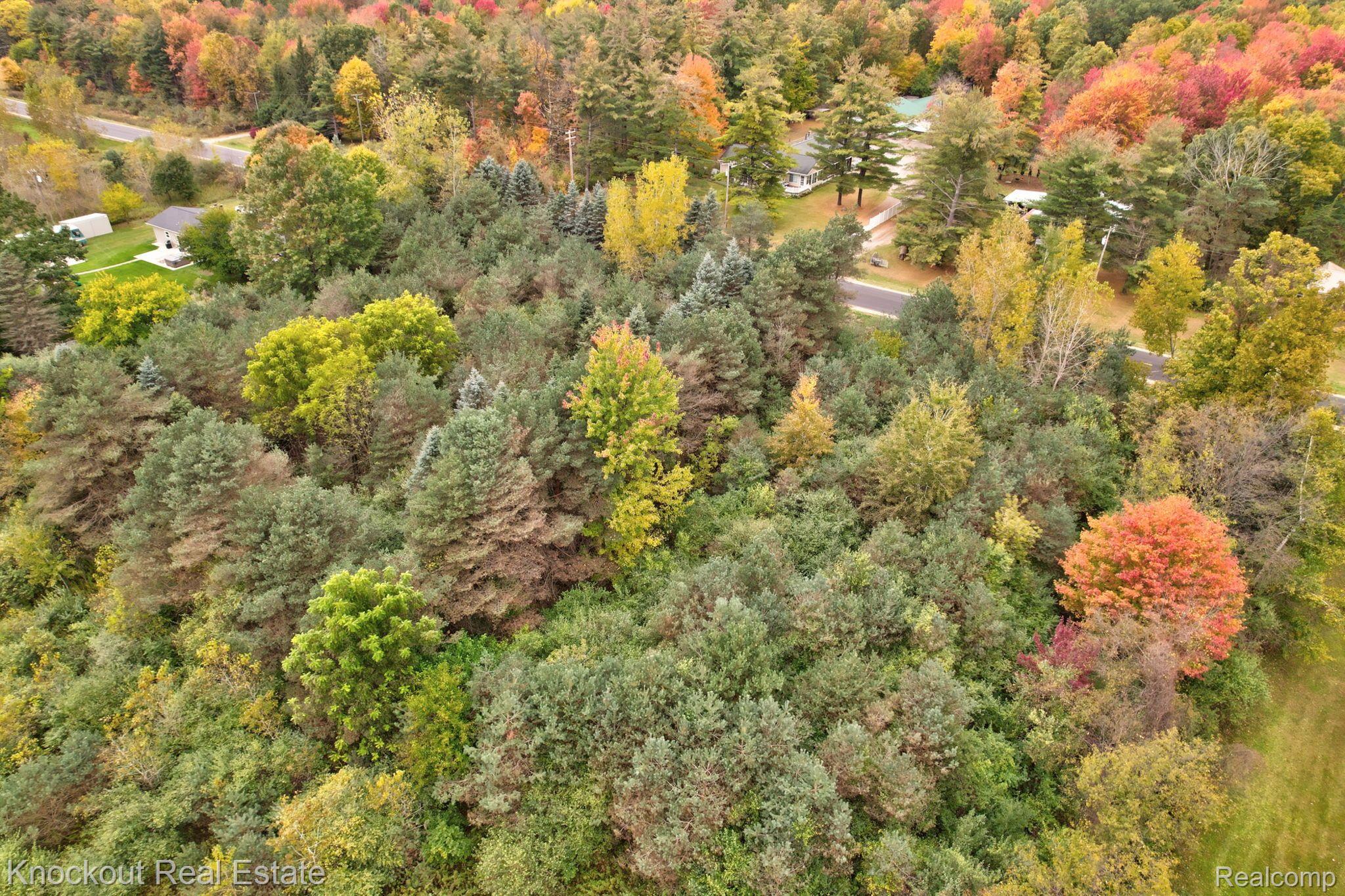 0 Birch Run Road