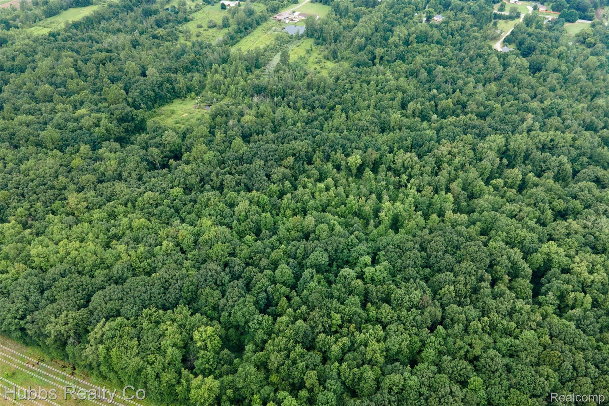 0000 Birch Run Rd.