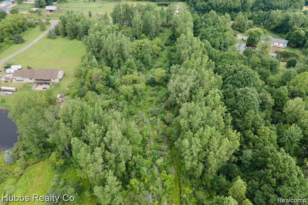 9265 Birch Run Rd.