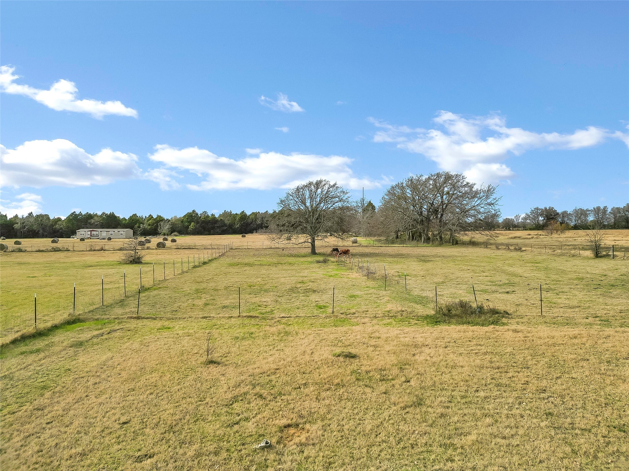 16420 County Road 2501