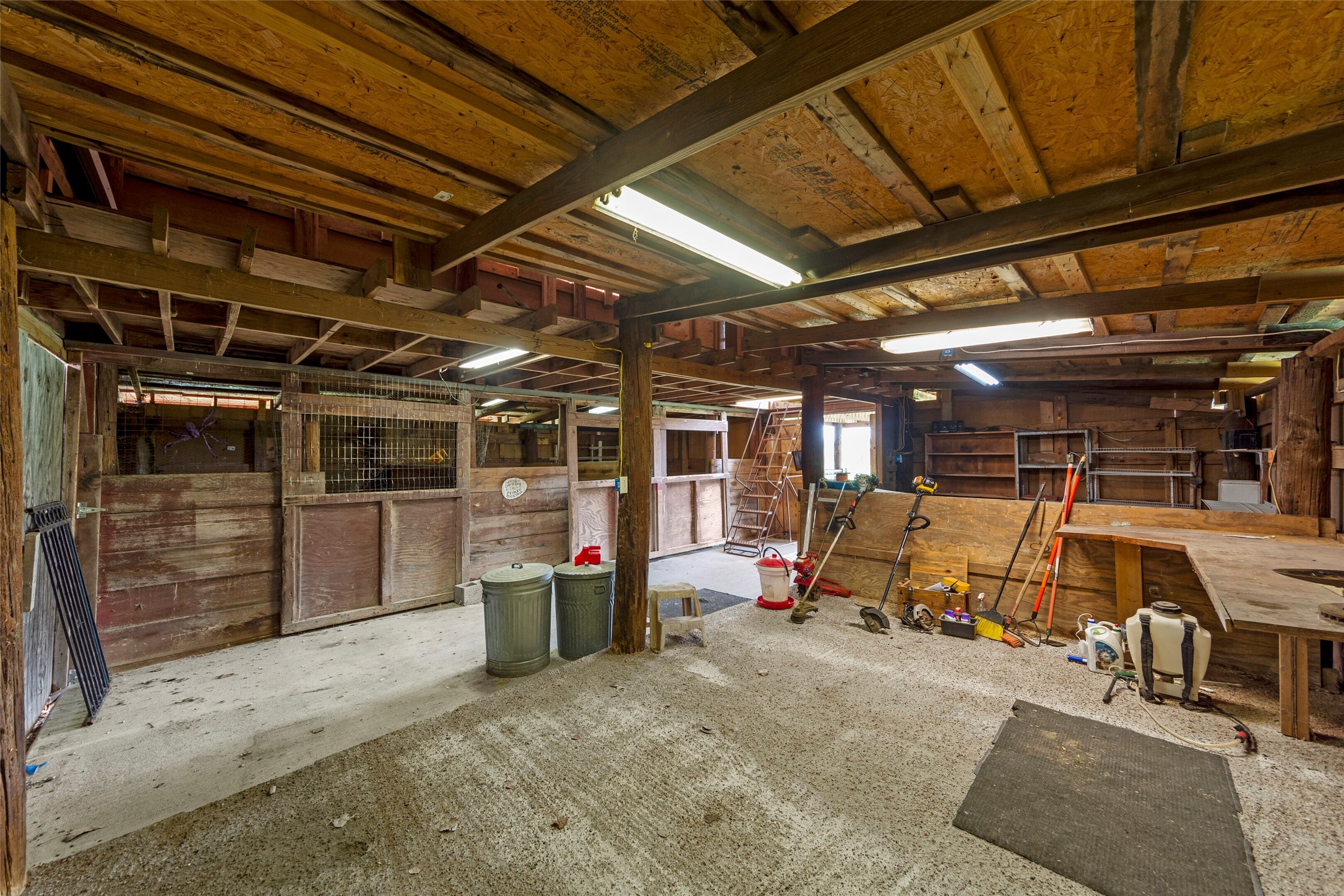 3607 Hogge Drive