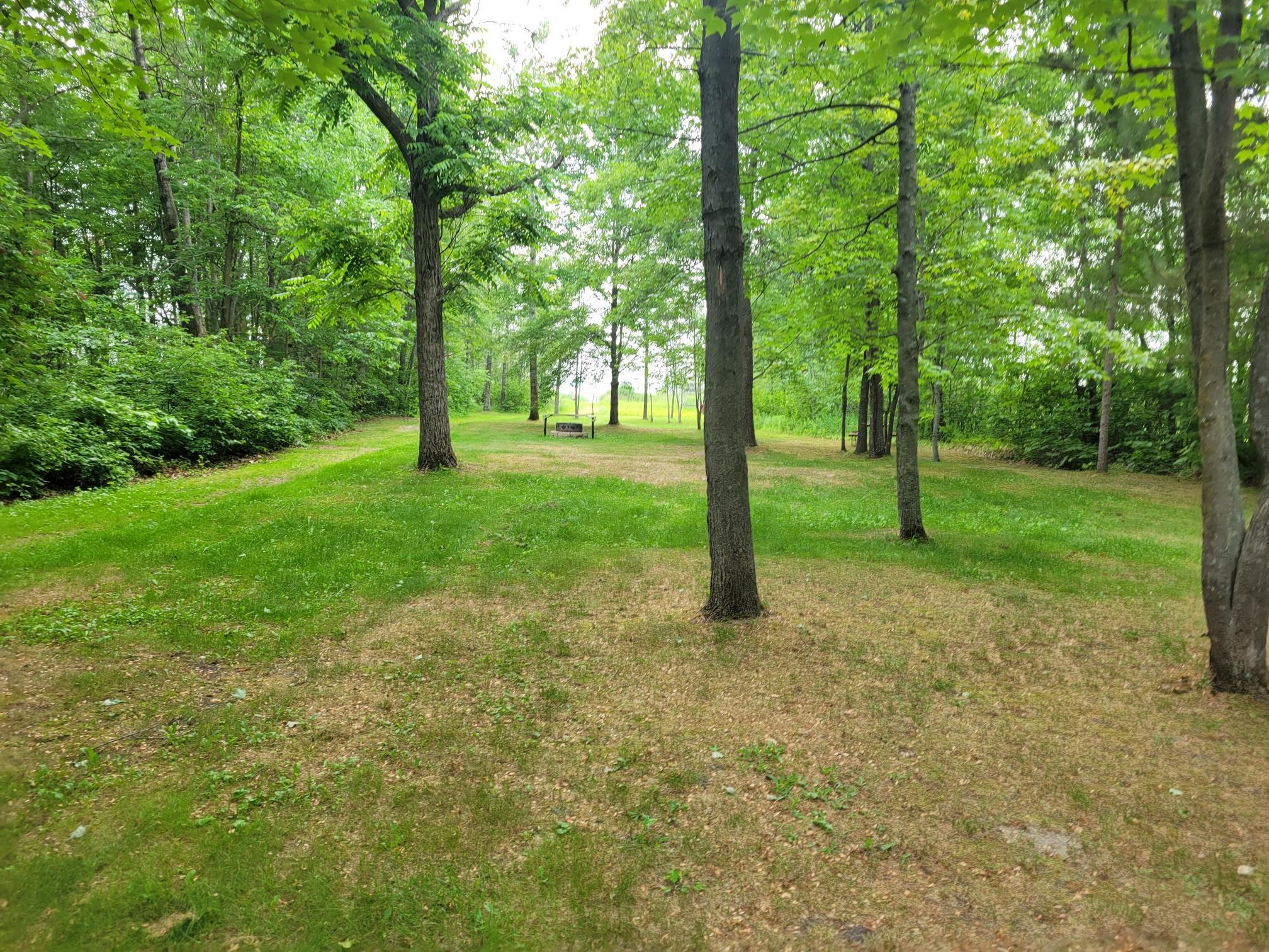 12782 Talking Trees Road