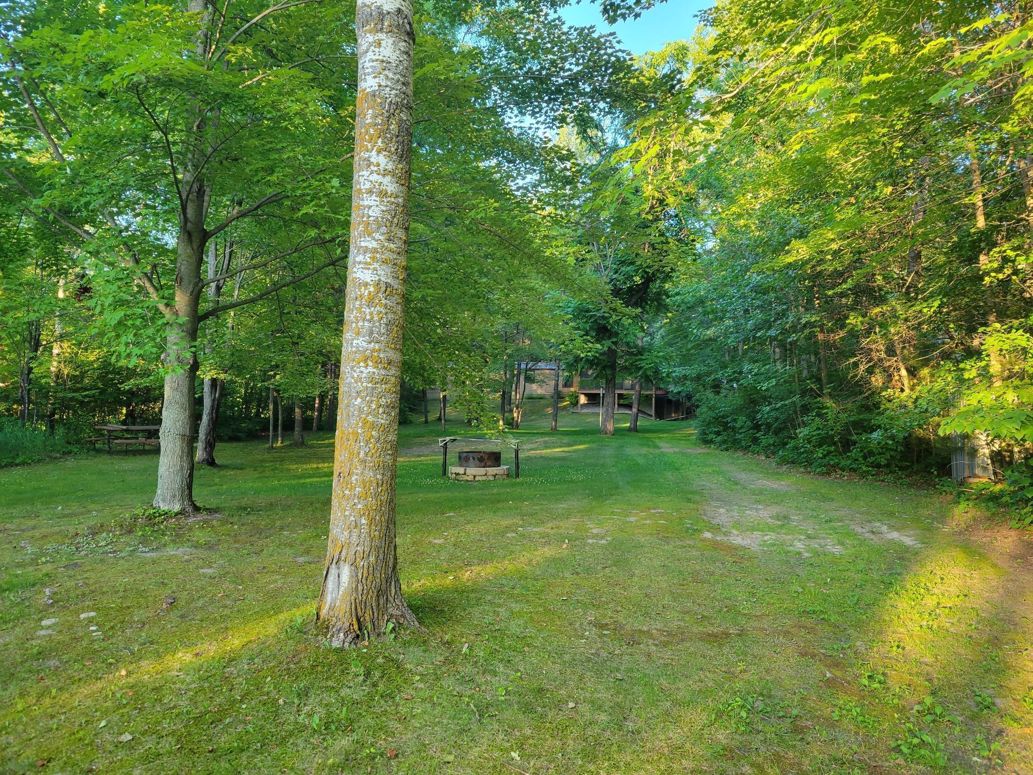 12782 Talking Trees Road