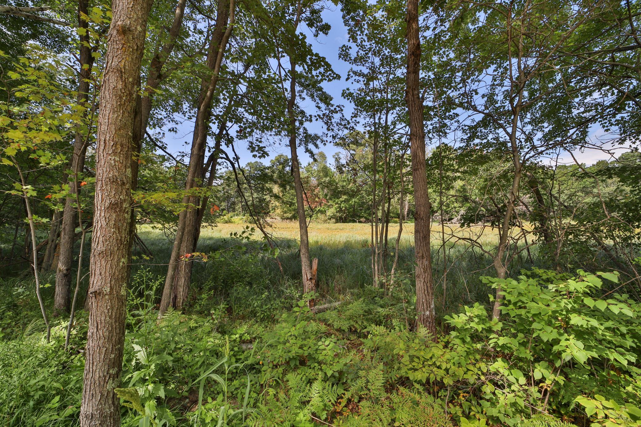 12788 Talking Trees Road