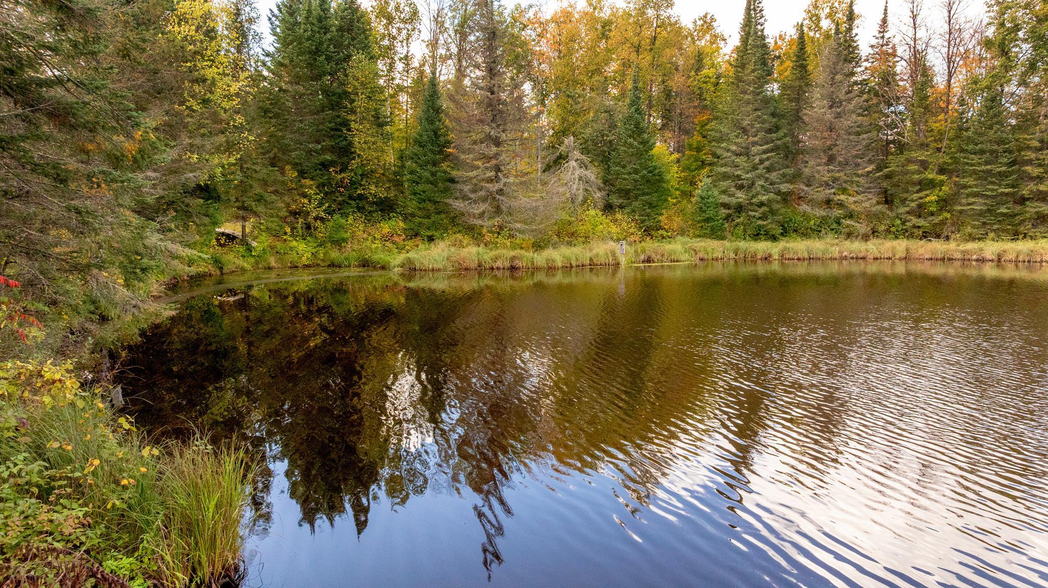 44047 Little Pine Road Unit: 184 Acres