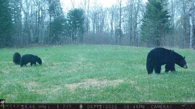 384 Acres TBD Little Pine Road