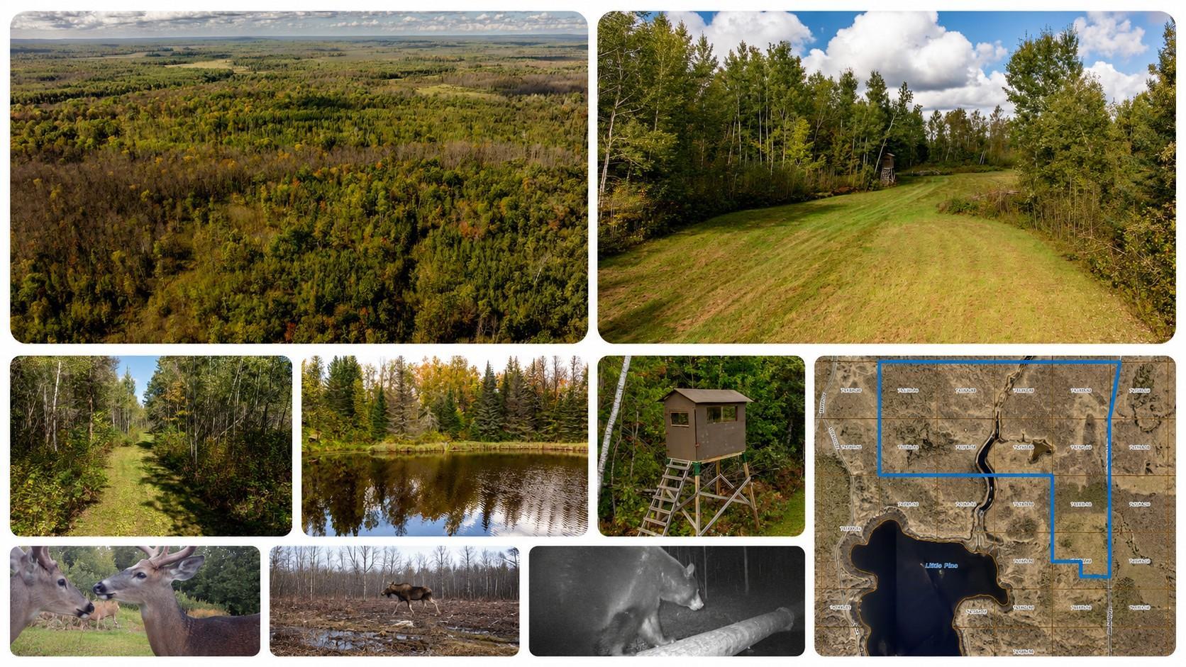 384 Acres TBD Little Pine Road