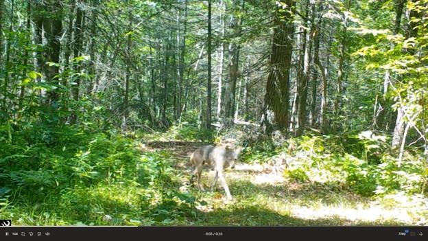 384 Acres TBD Little Pine Road