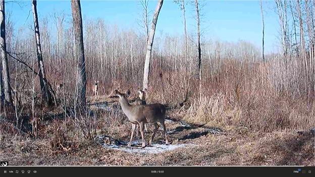 384 Acres TBD Little Pine Road