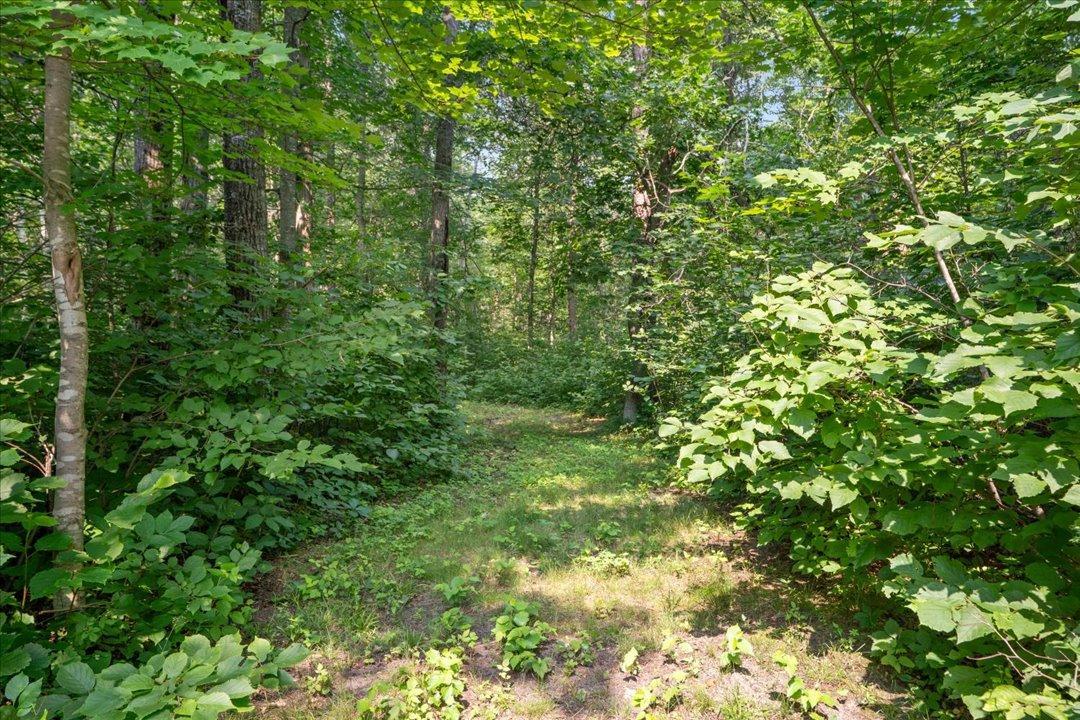 26193 Old Mill Road