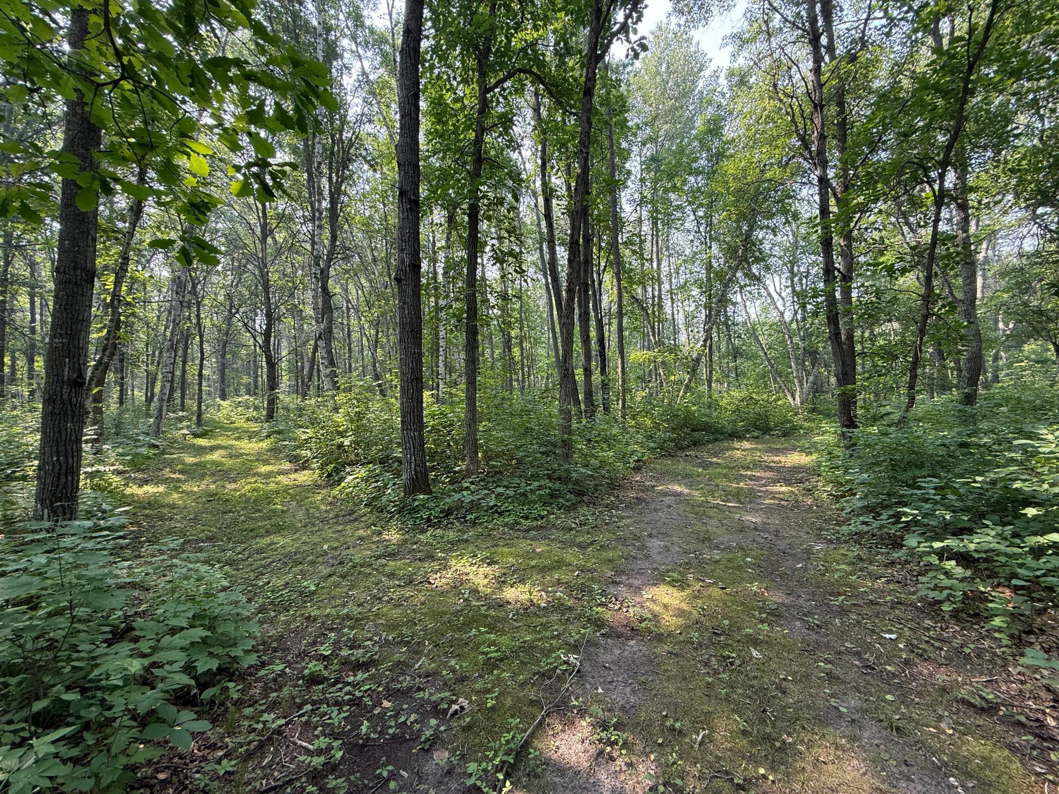 26193 Old Mill Road