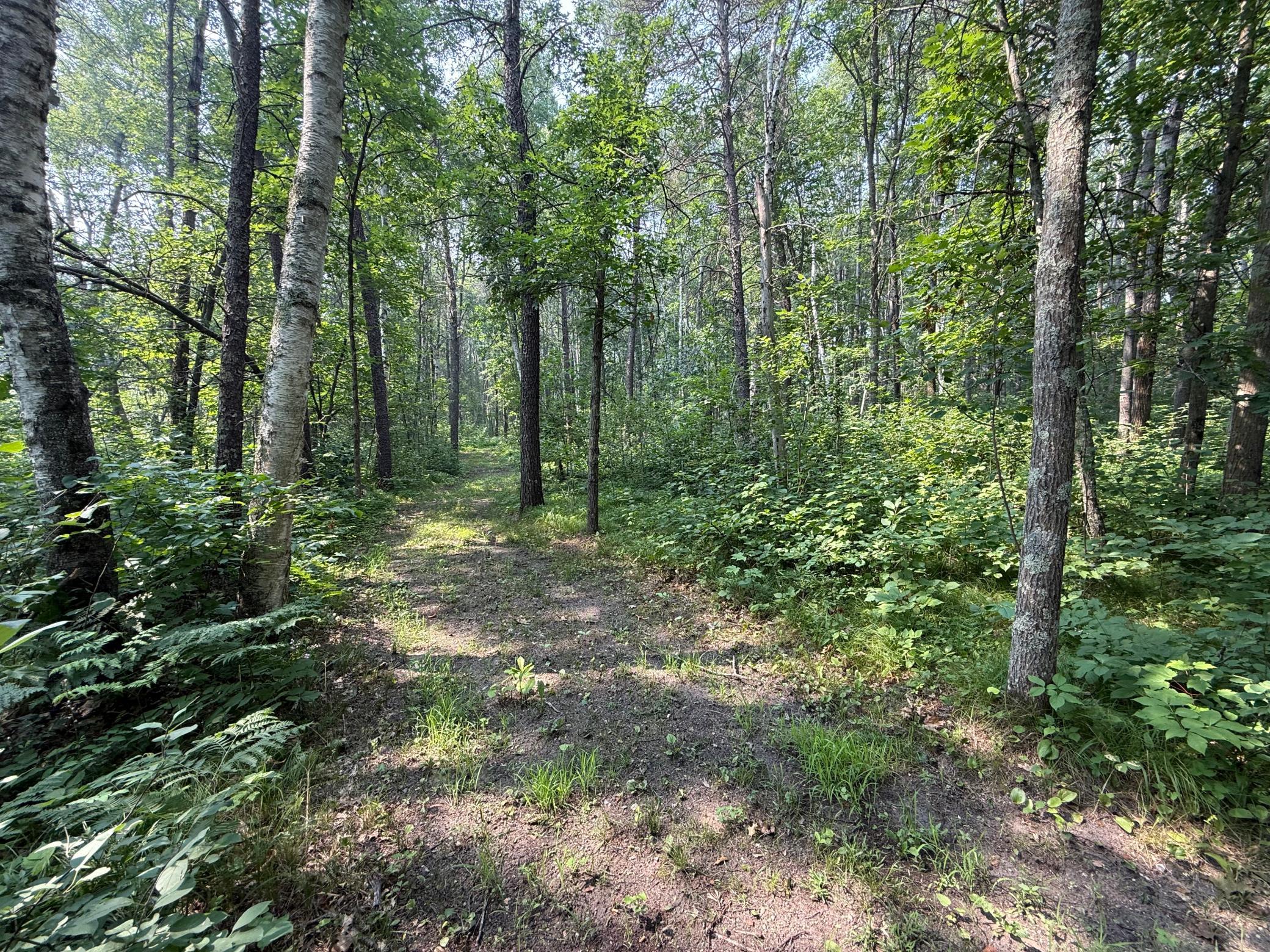 26193 Old Mill Road