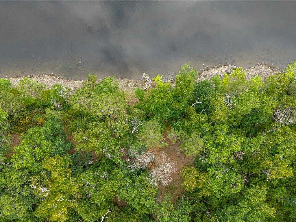 8 Acres Mississippi River Front TBD Bedow Road