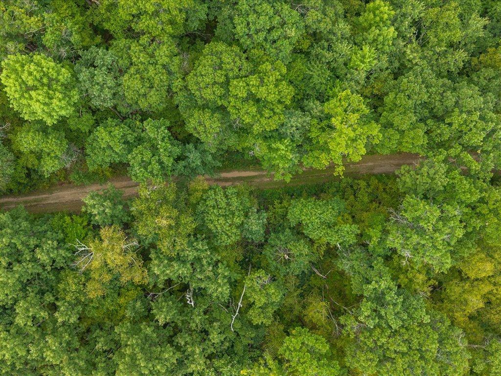 8 Acres Mississippi River Front TBD Bedow Road