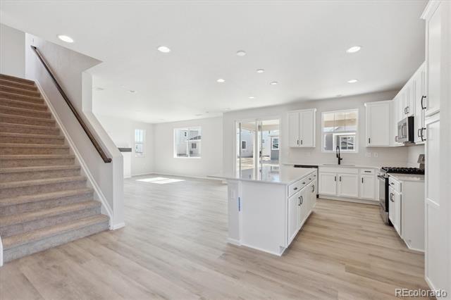 833 Alpine Ridge Street