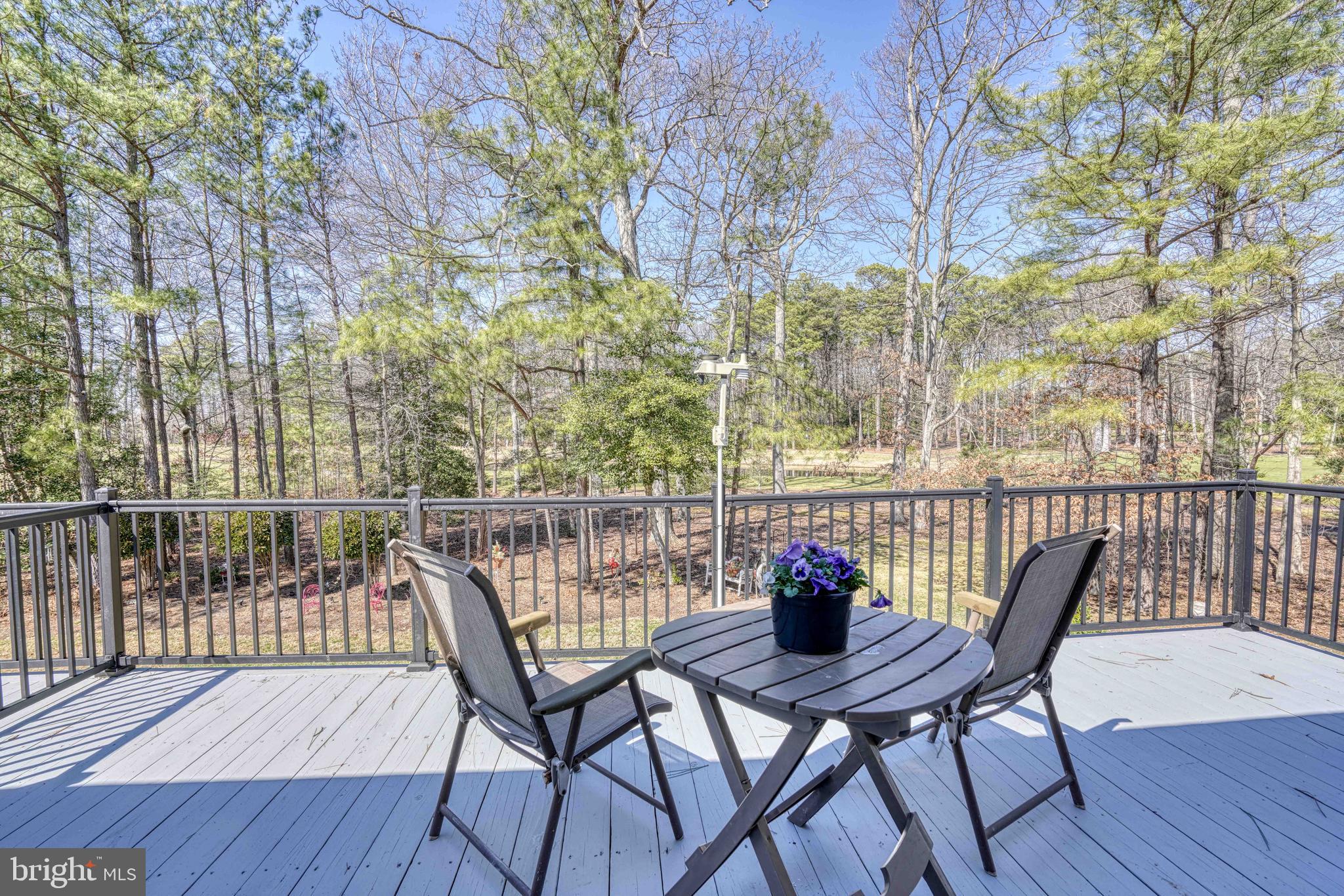 24354 WIDGEON 20