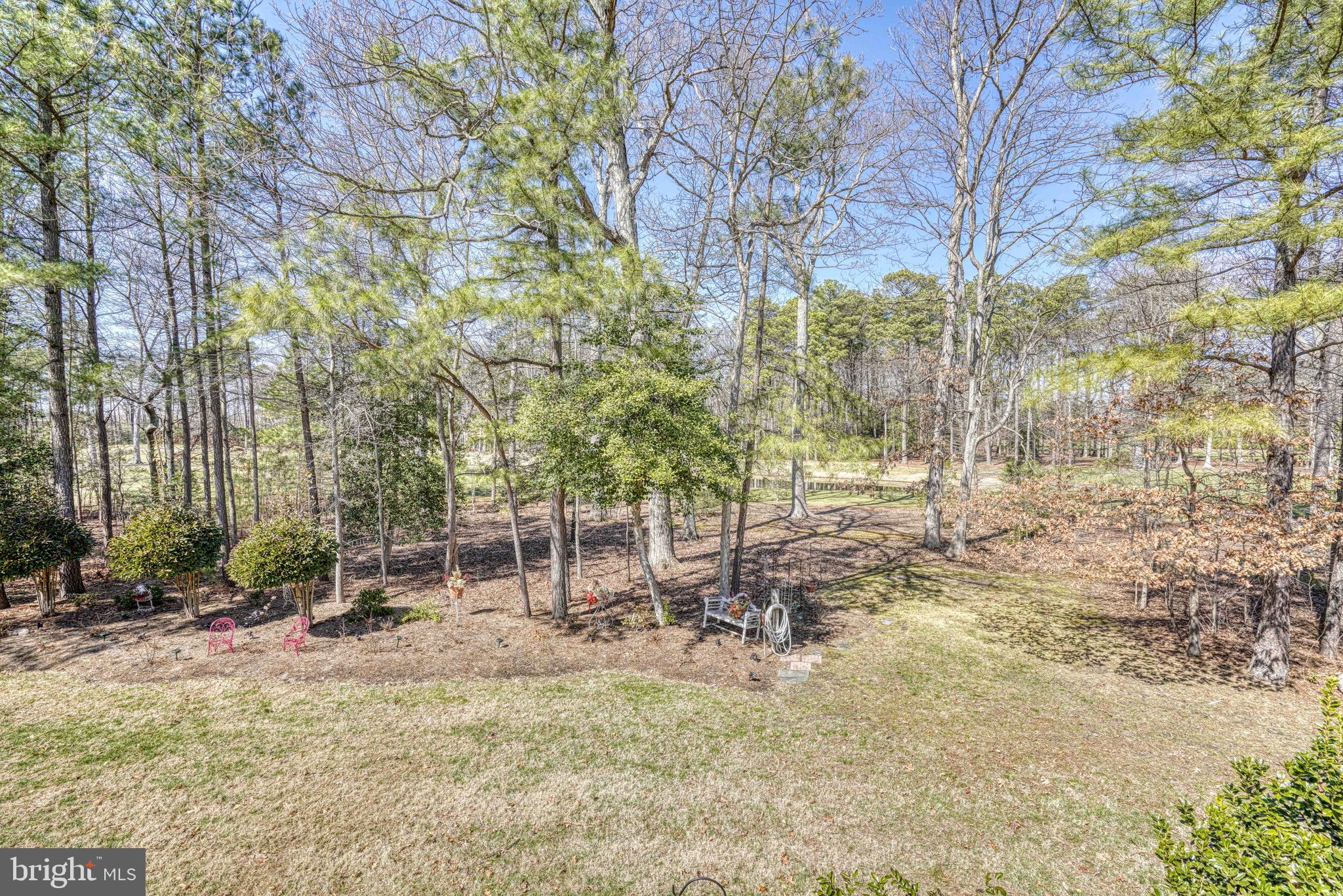 24354 WIDGEON 20