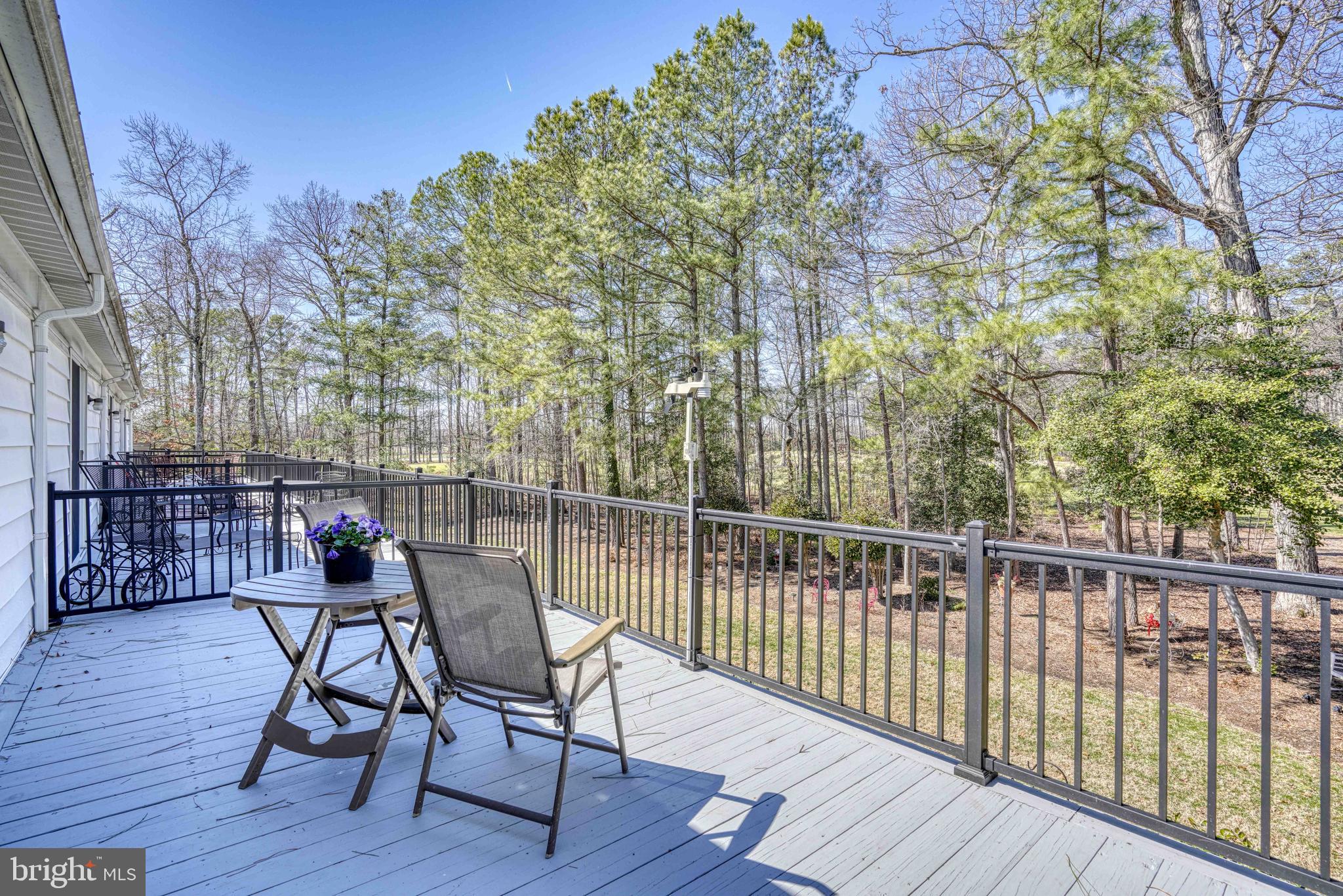 24354 WIDGEON 20
