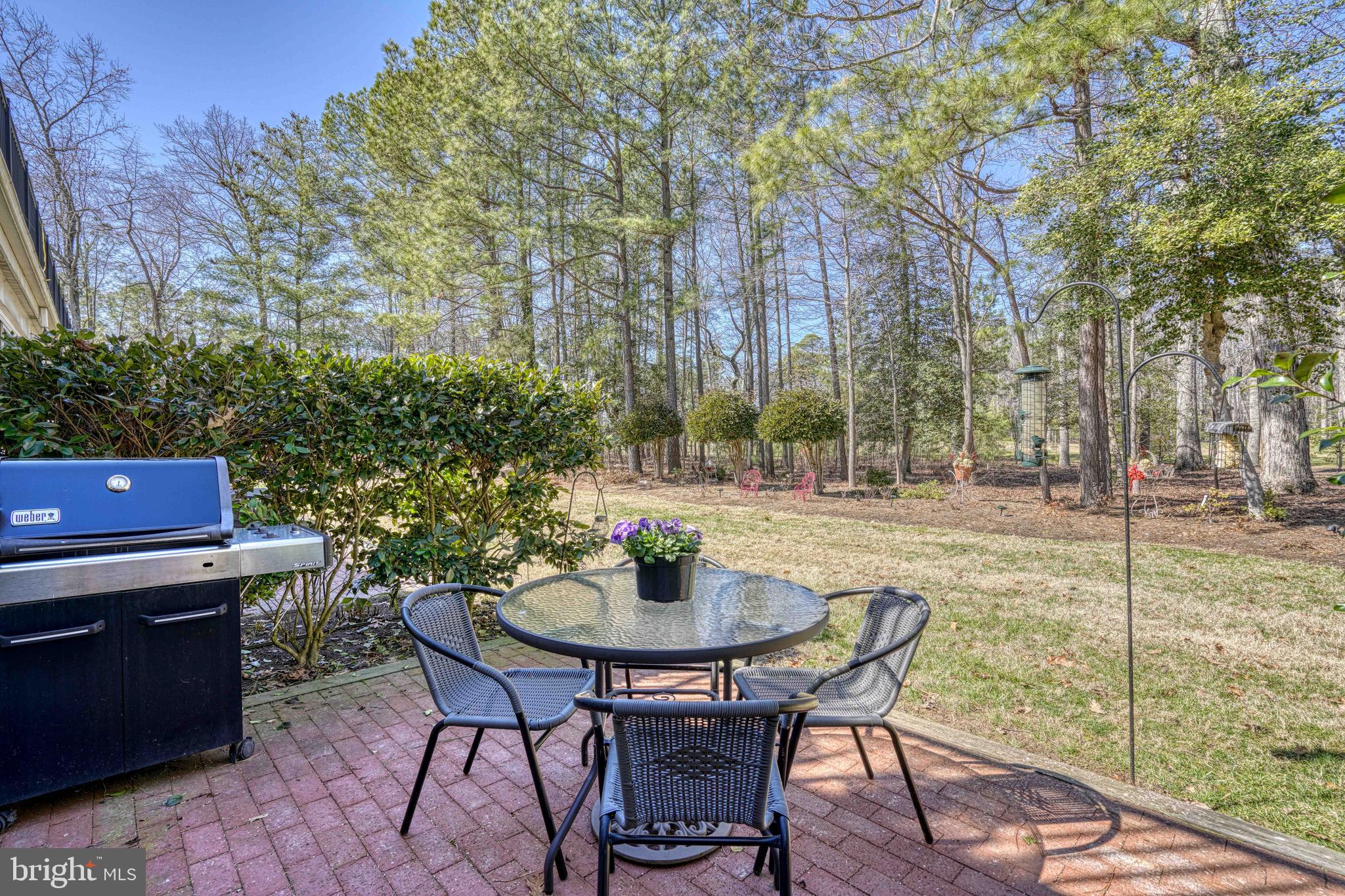 24354 WIDGEON 20