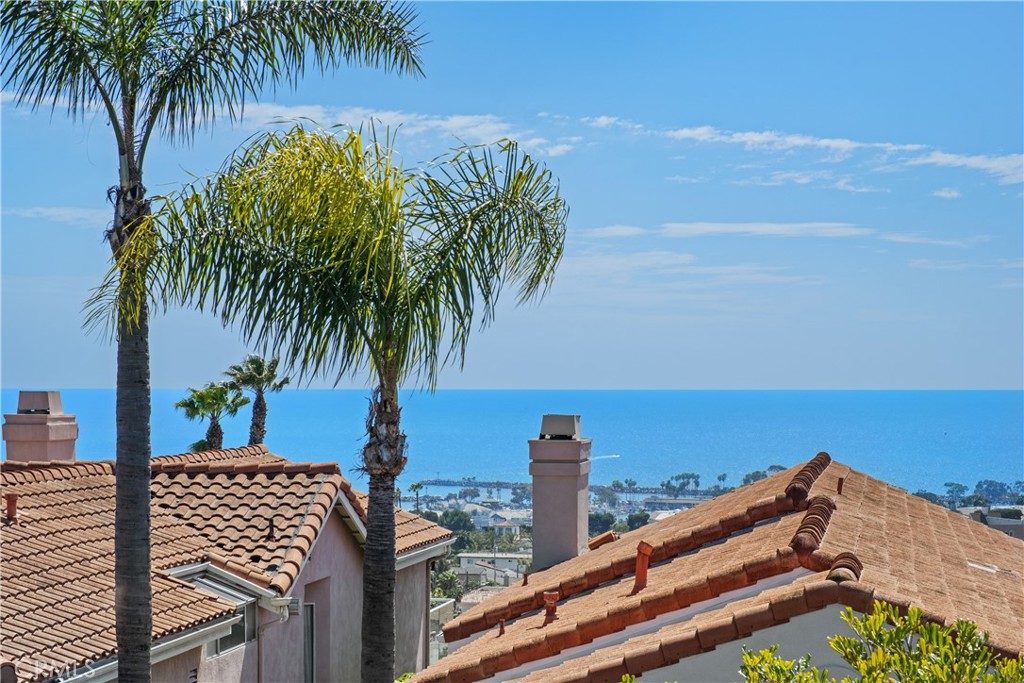24882 Dana Point Drive