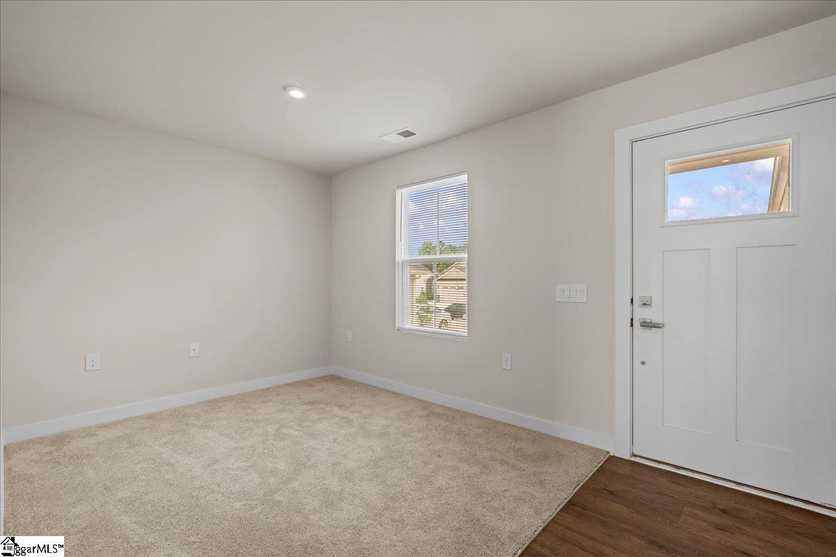 917 Blue Willow Court