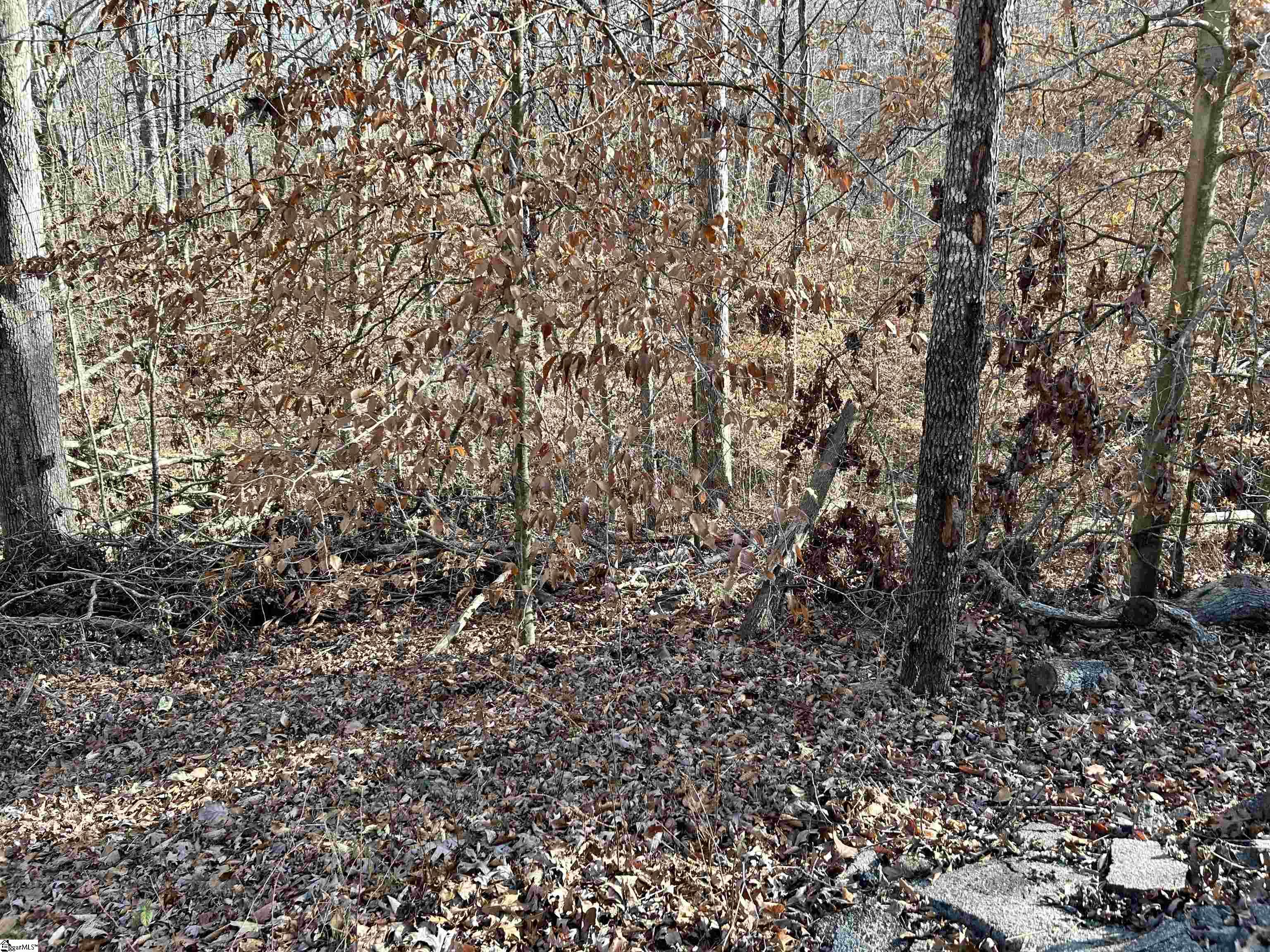 00 Sutton Cove Court Lot 72