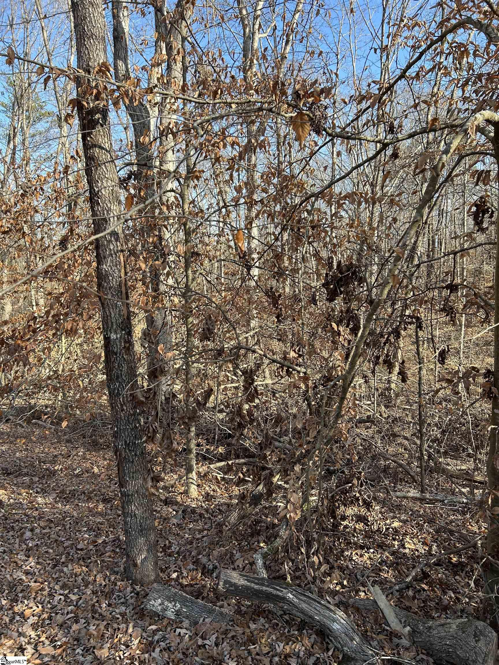 00 Sutton Cove Court Lot 72