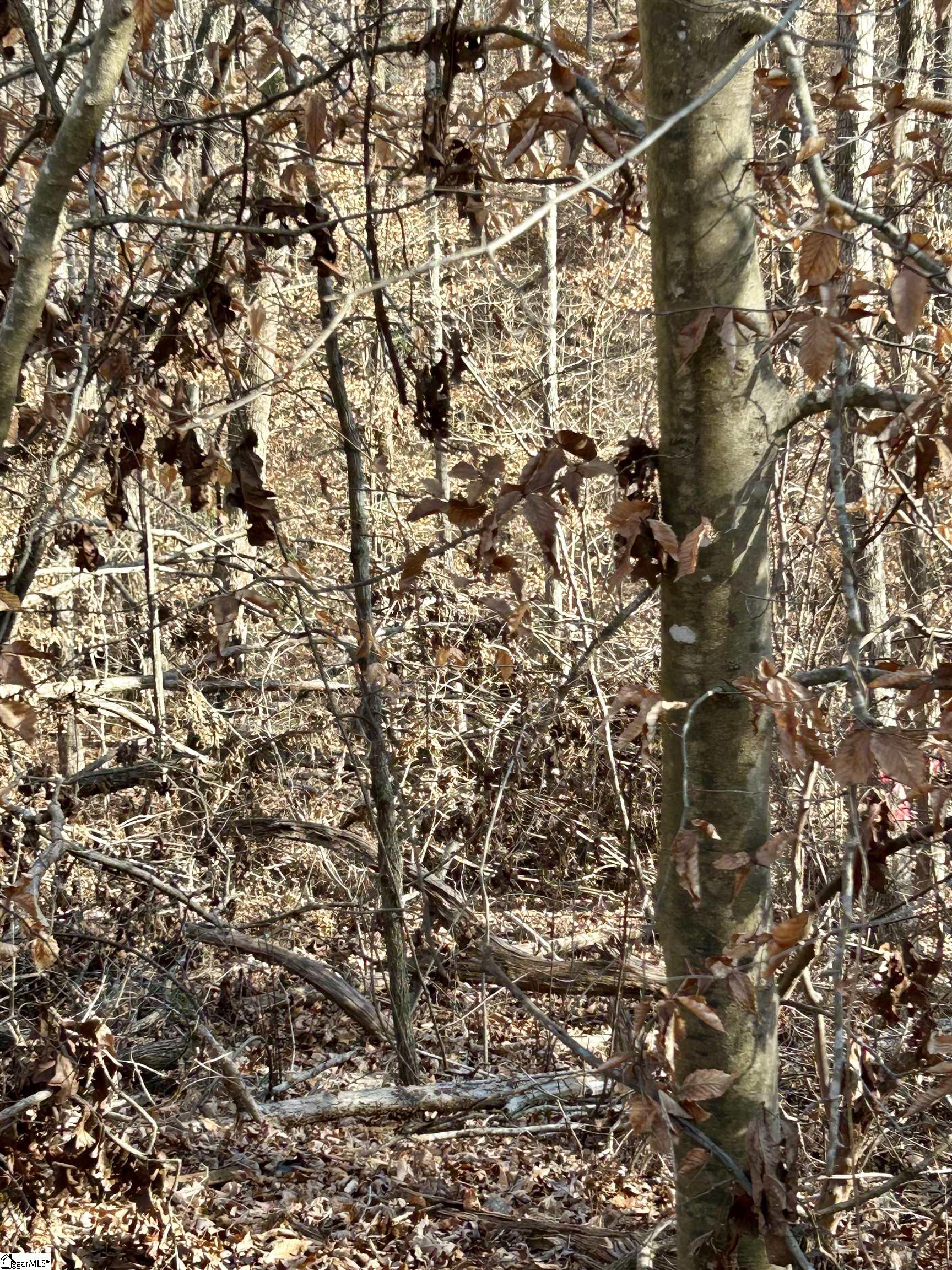 00 Sutton Cove Court Lot 72