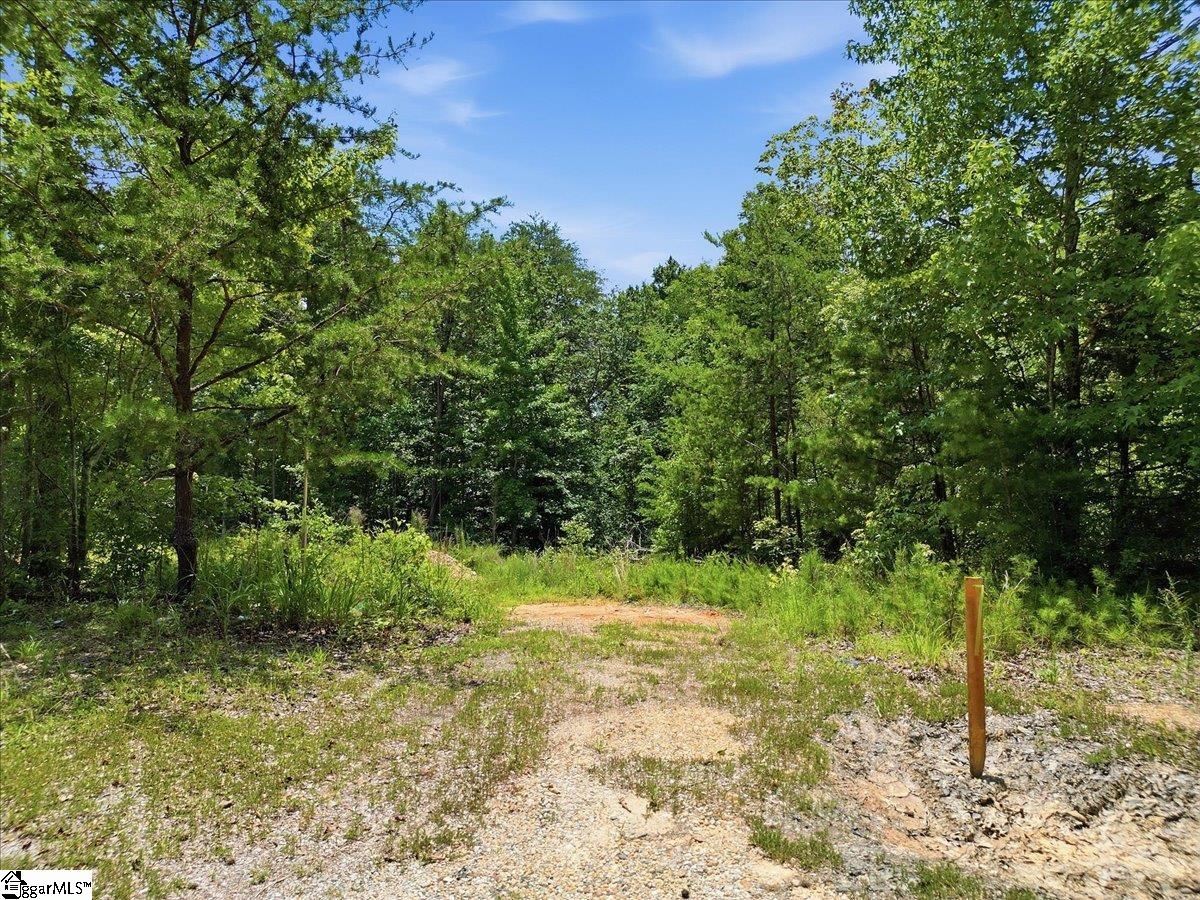 00 Peacefull Valley Road
