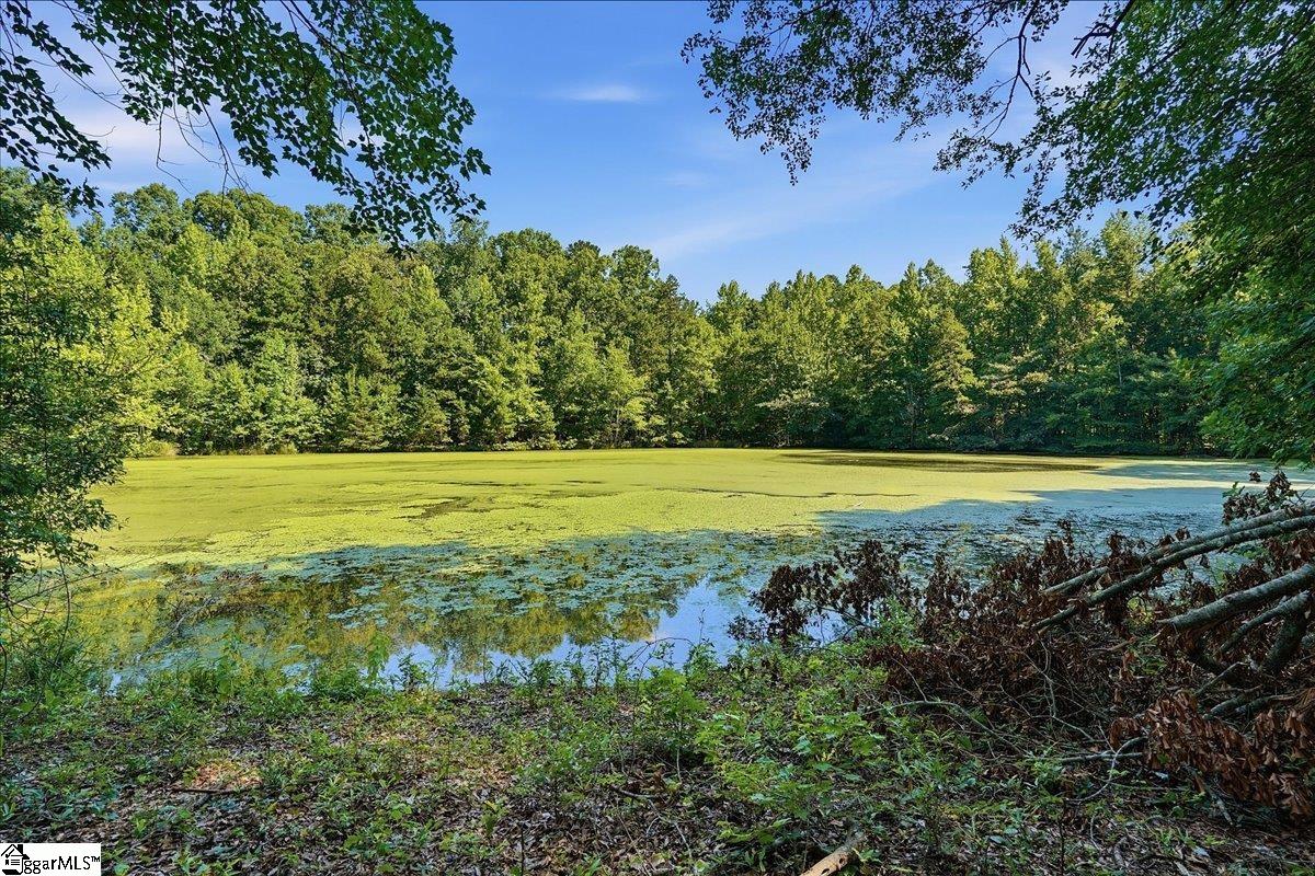 3006 Harris Bridge Road