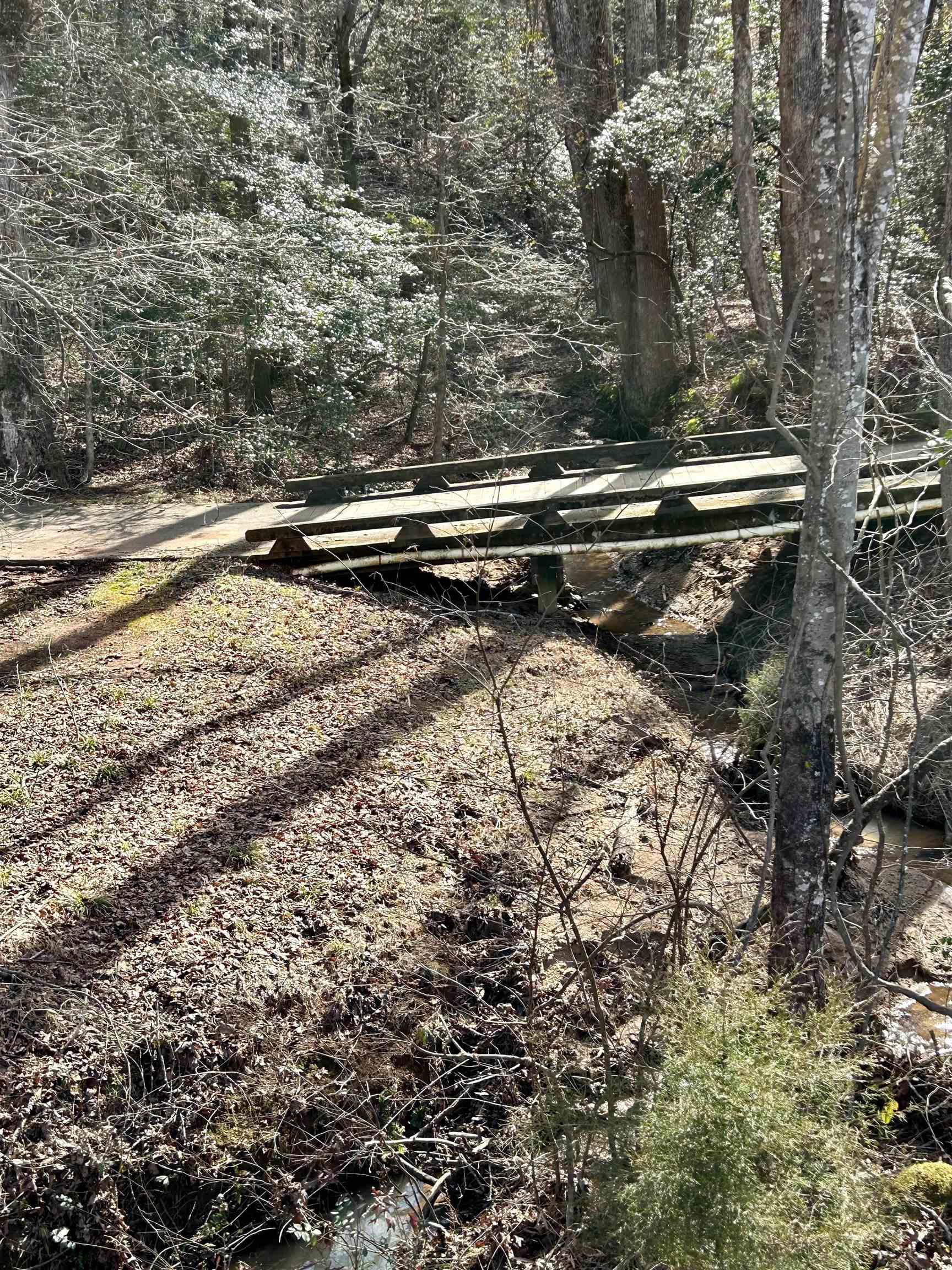 634 Crowe Creek Trail