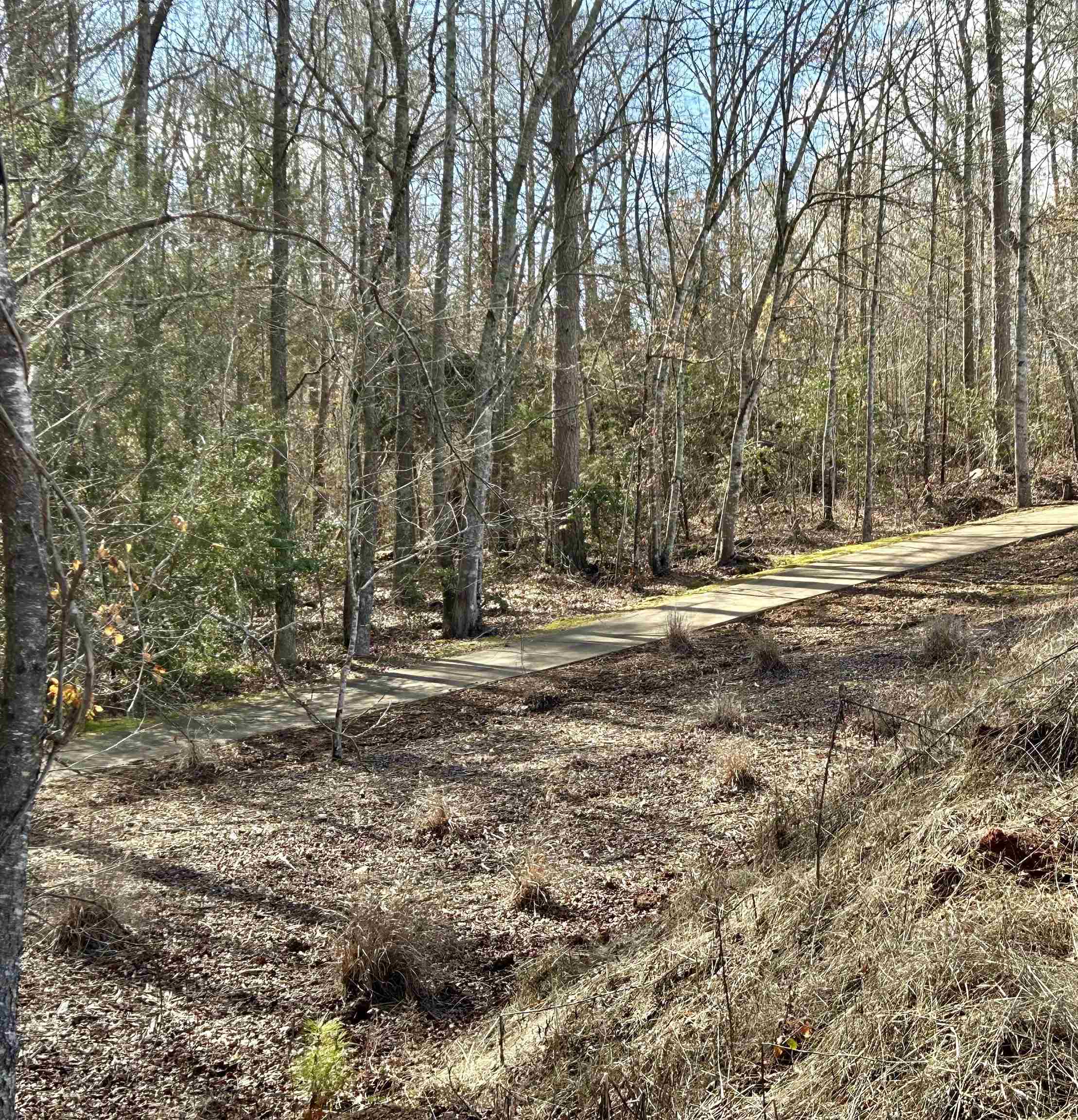 634 Crowe Creek Trail