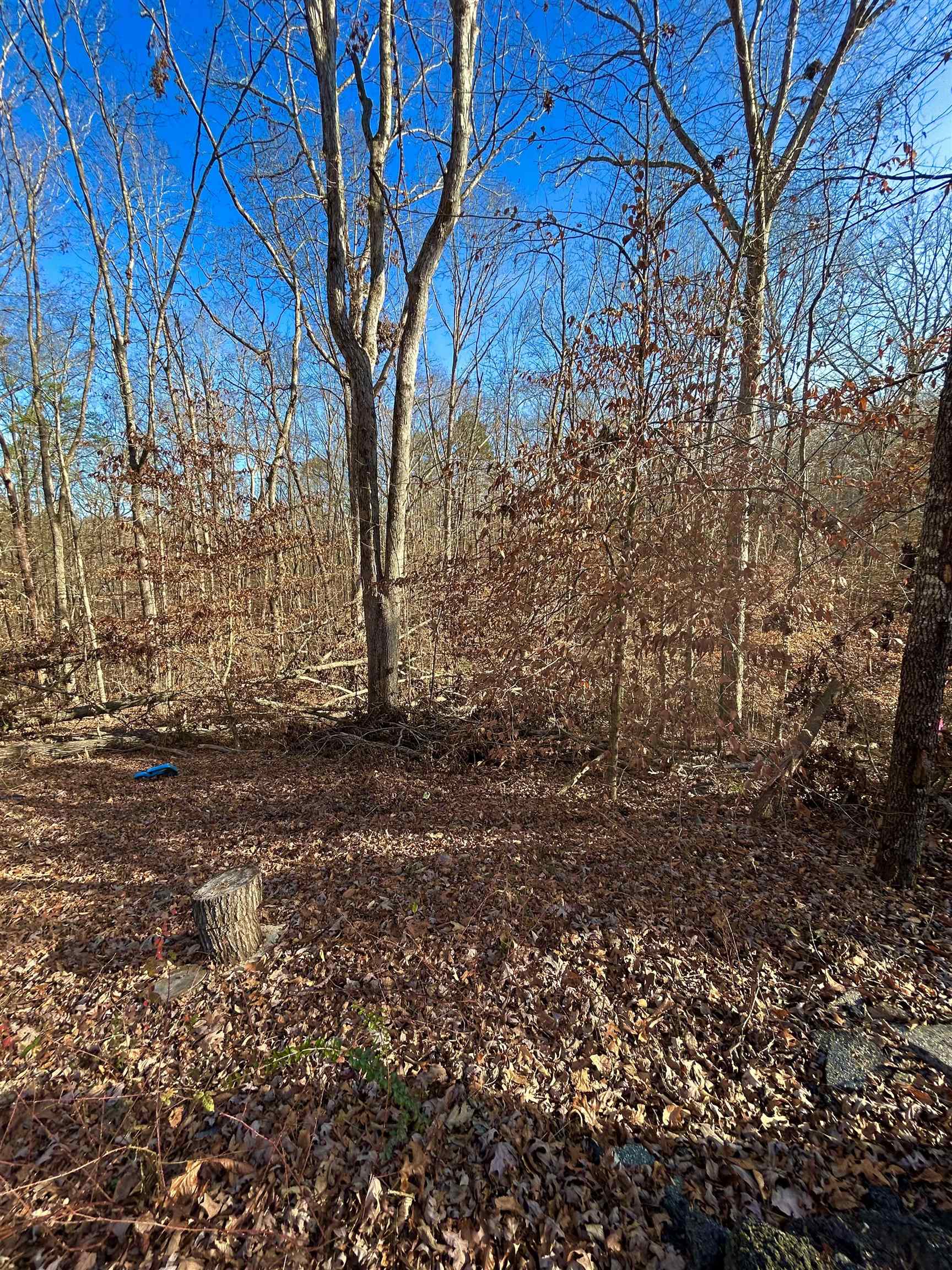 00 Sutton Cove Court