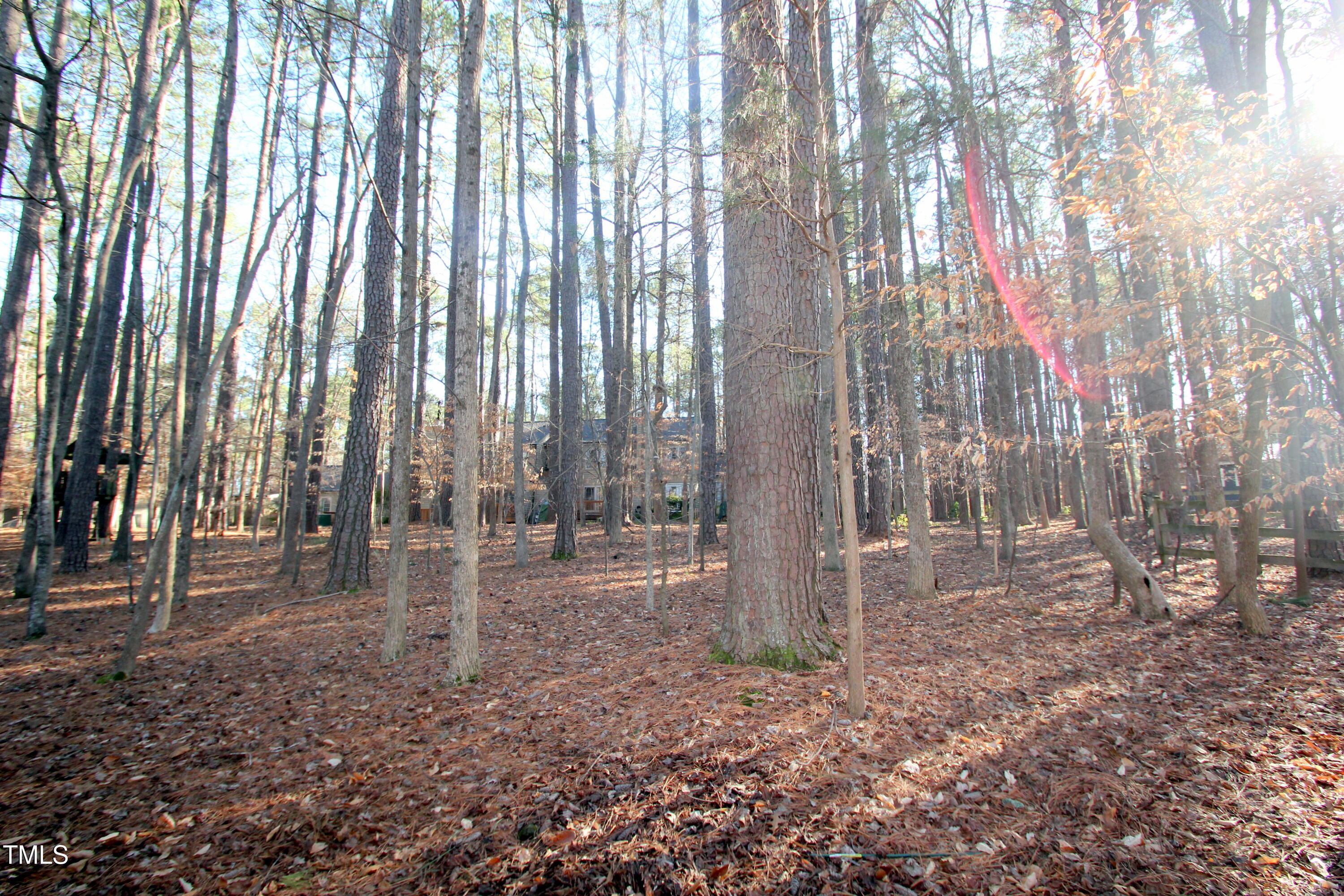 202 Wild Oak Lane