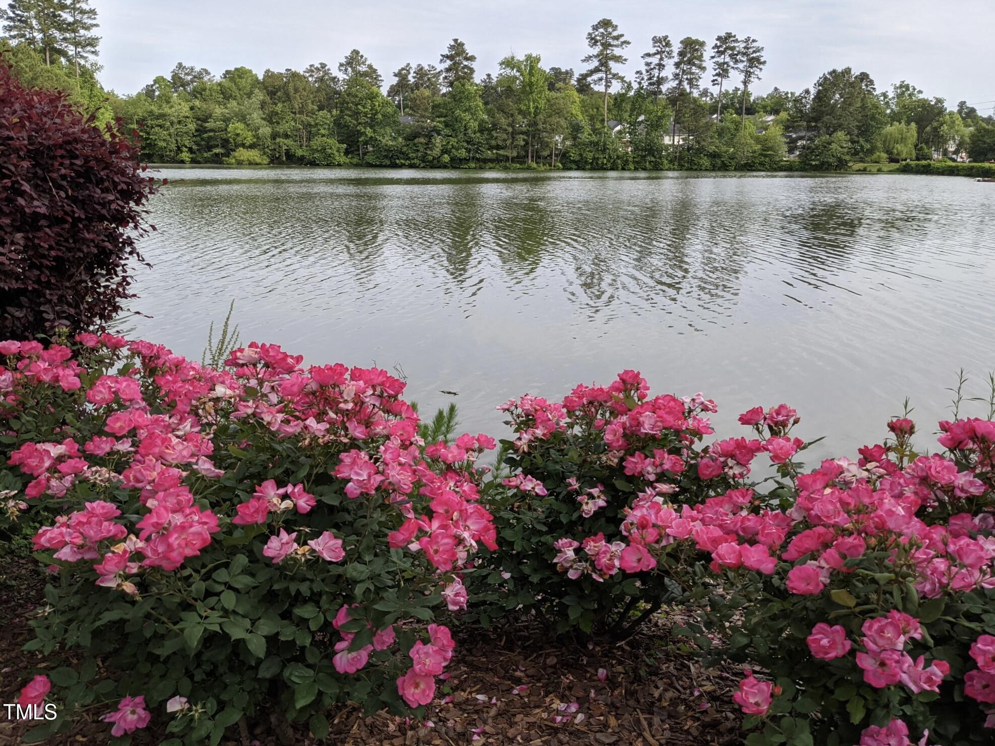 116 Lakeshore Drive
