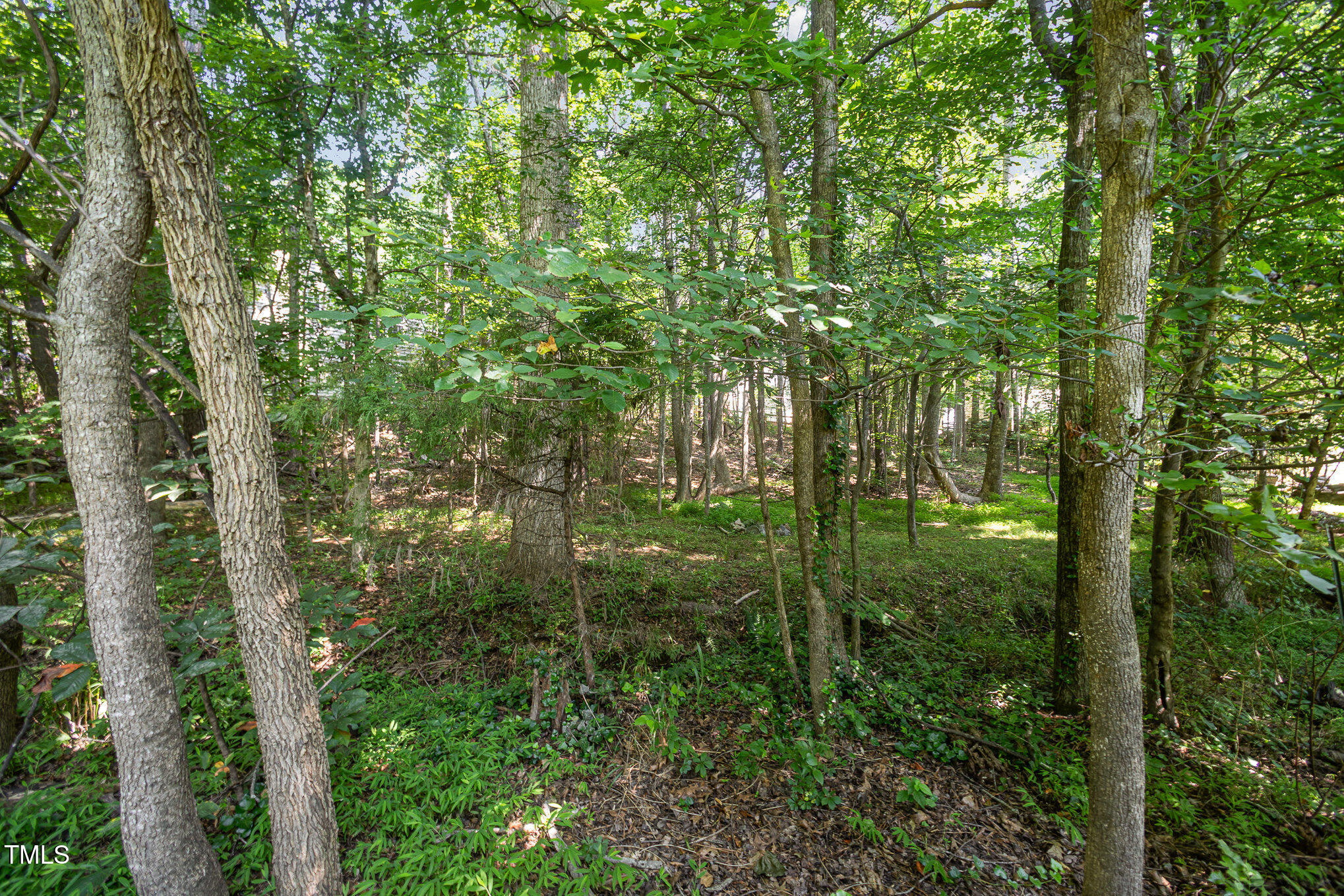 2613 Sweet Gum Drive