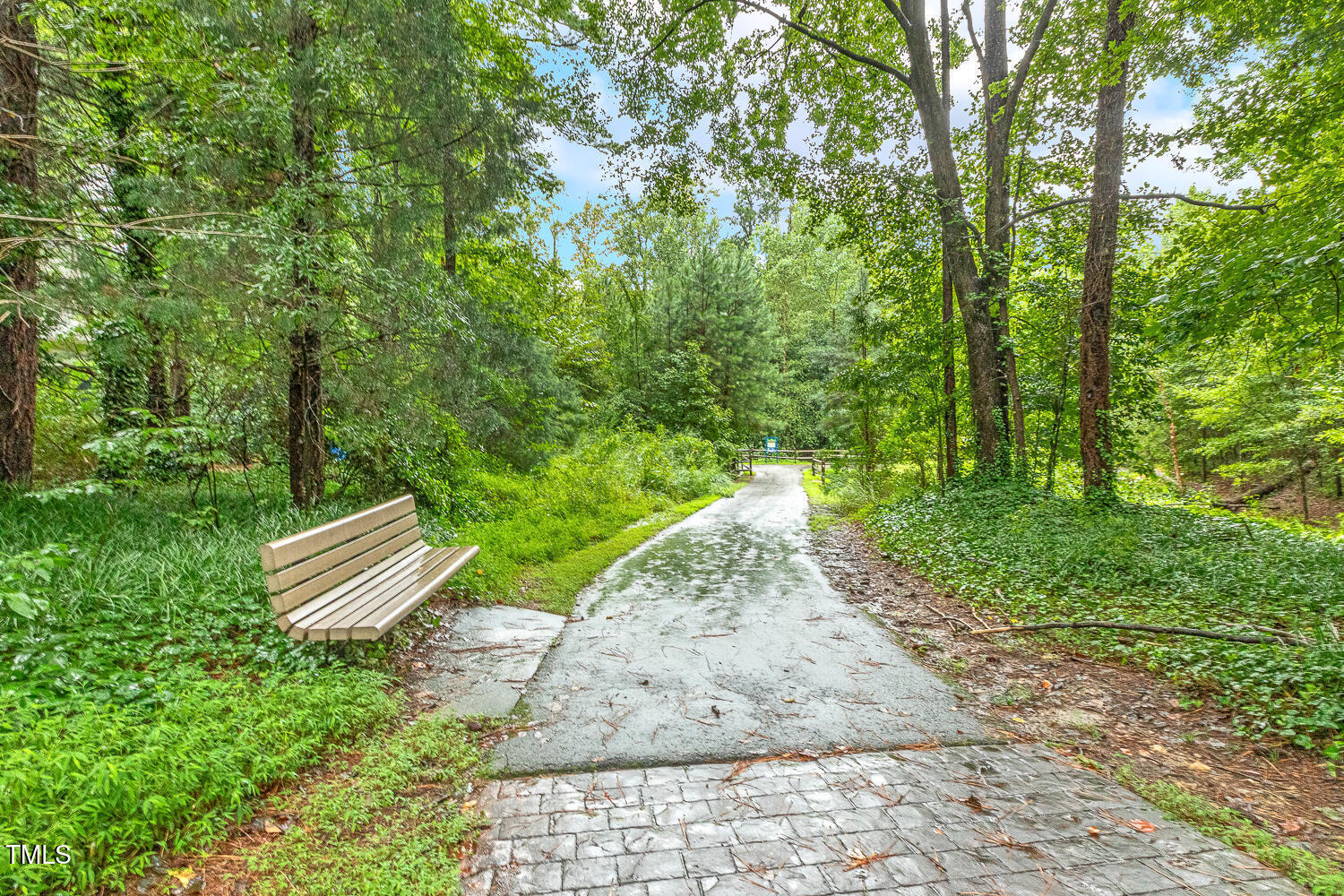217 Danforth Drive