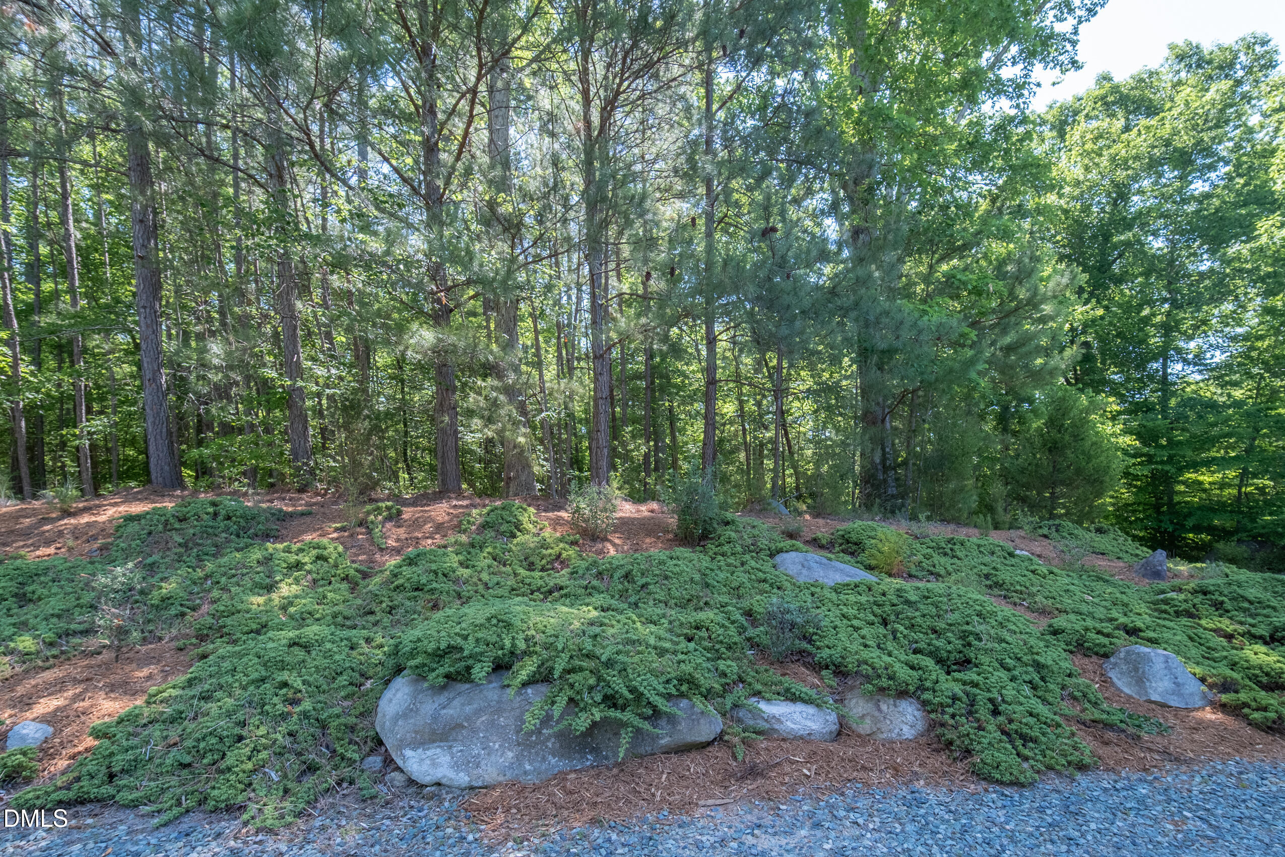 2390 Lamont Norwood Road