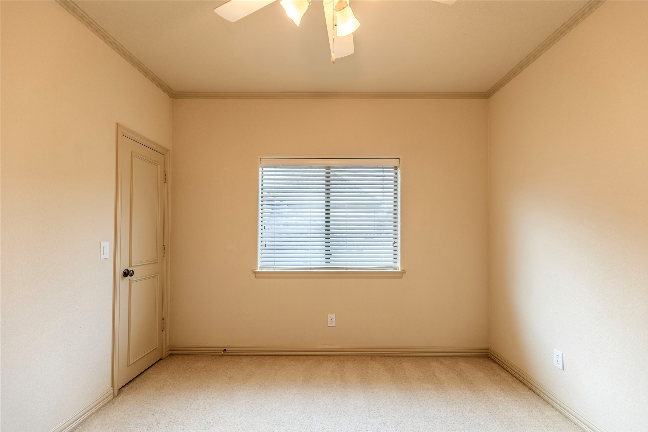 3101 Springbranch Drive