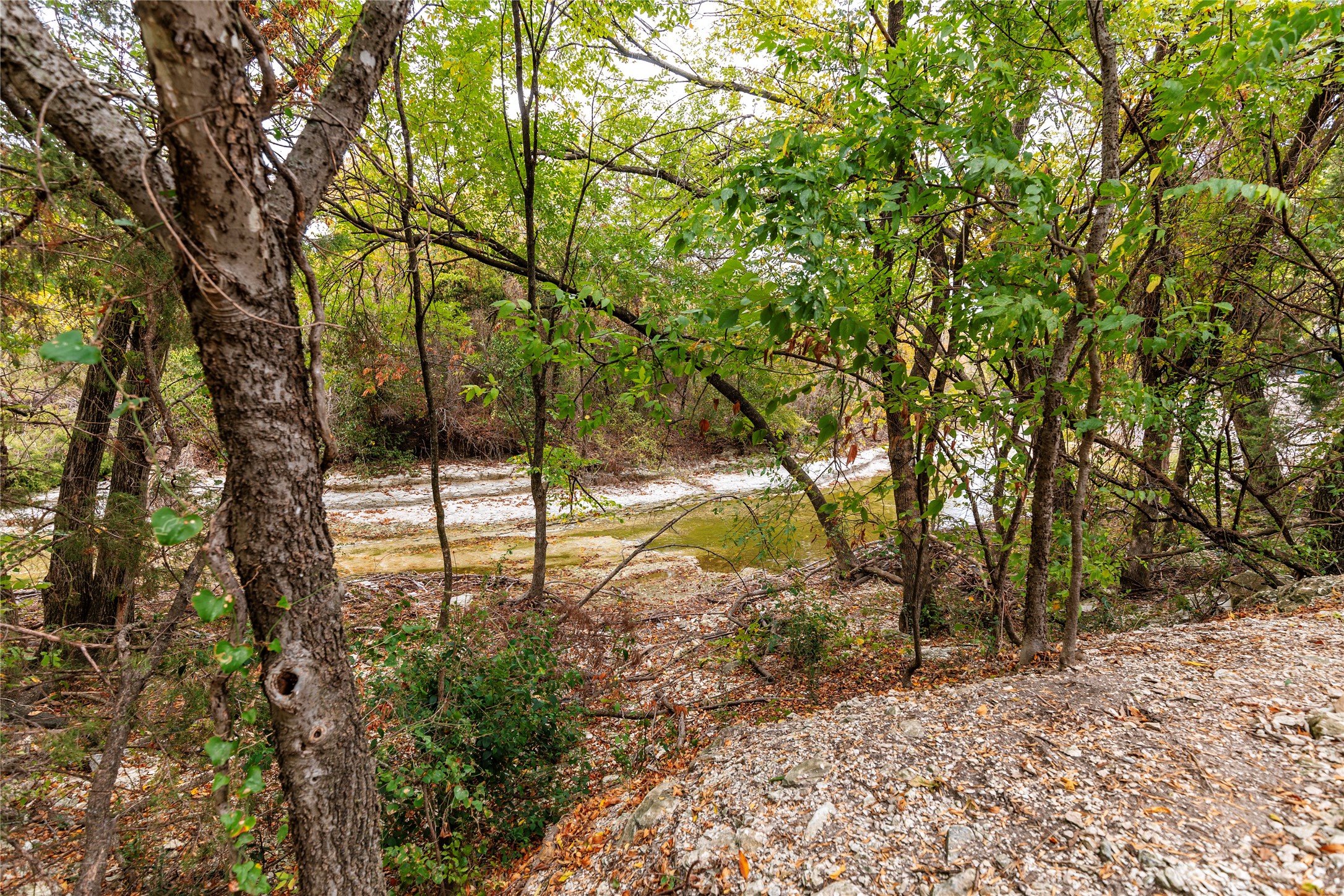 3101 Springbranch Drive